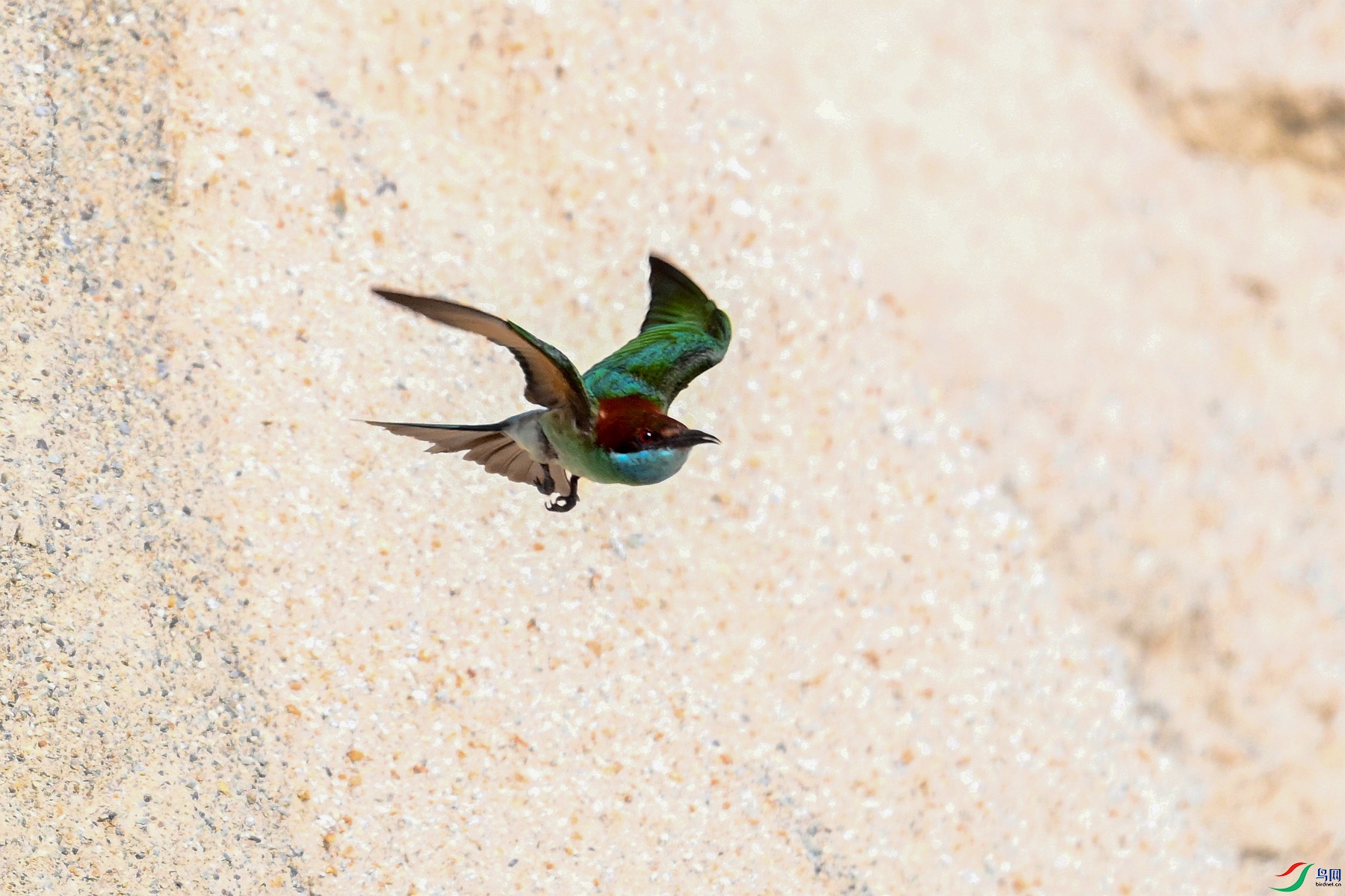 DSC_2672.JPG