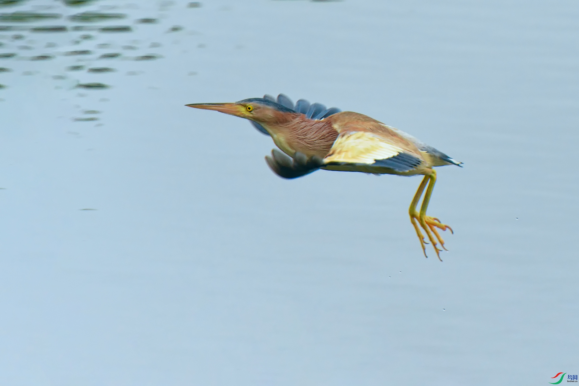 DSC_3858_DxOa.jpg
