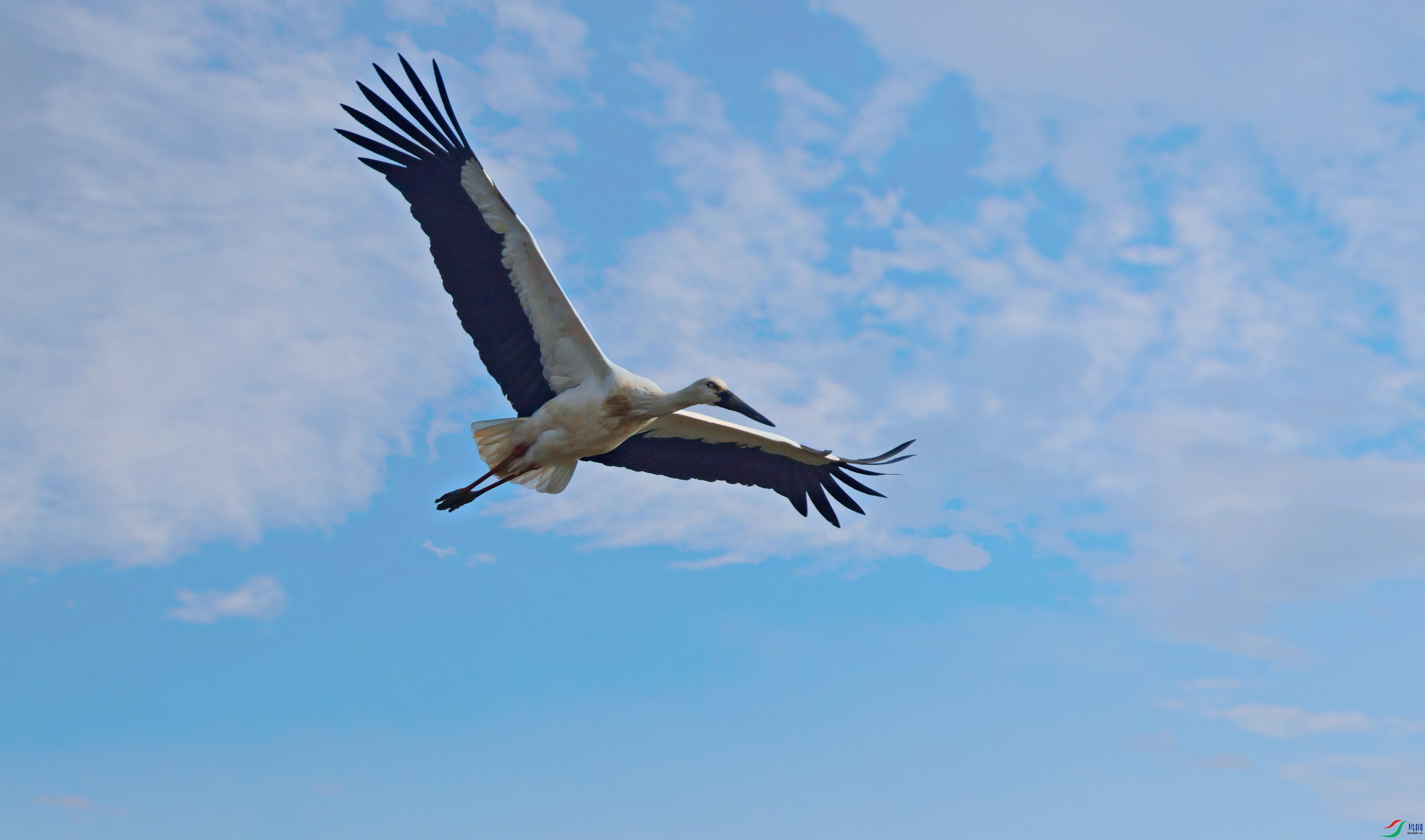 1V5A7876-19.JPG