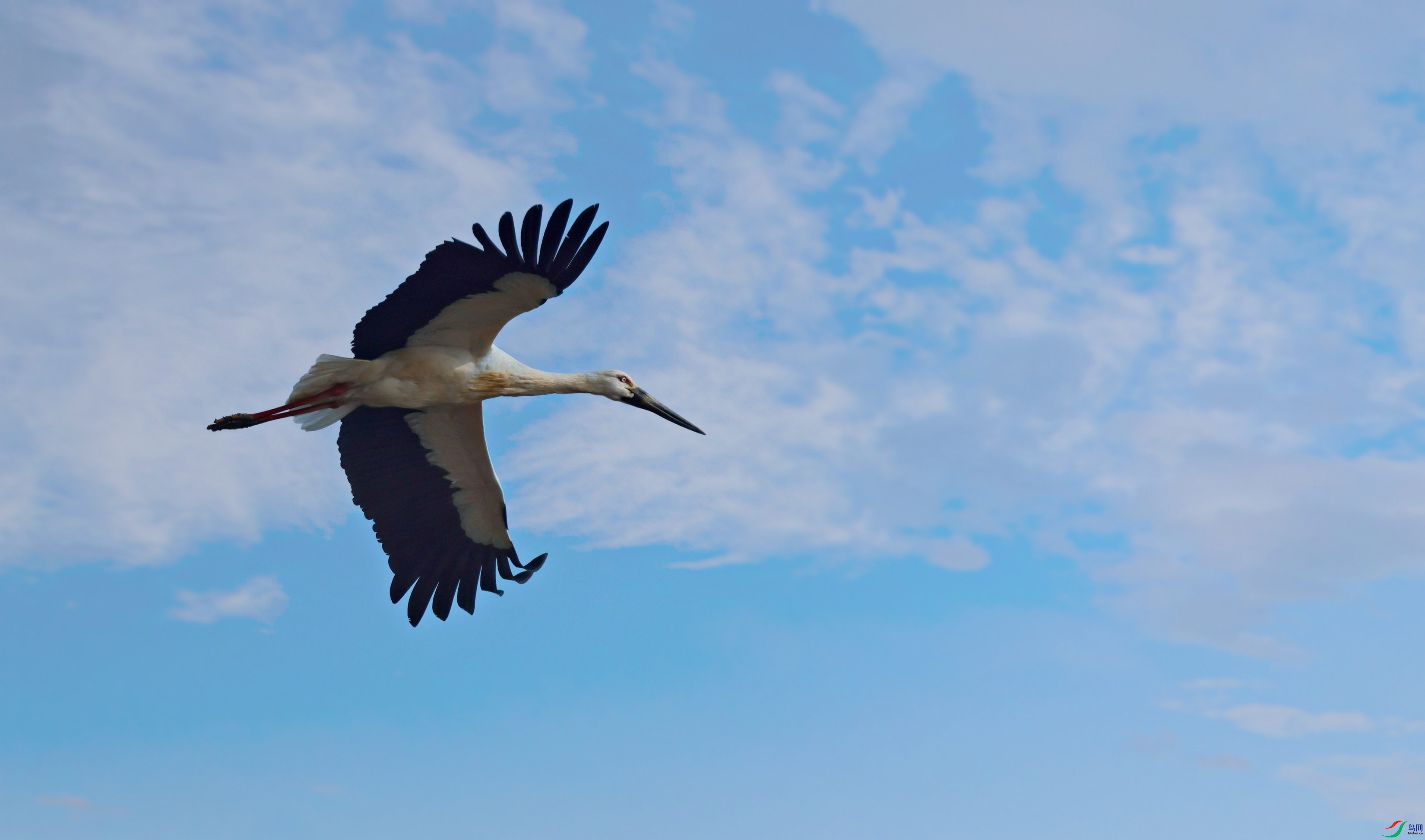 1V5A7885-19.JPG