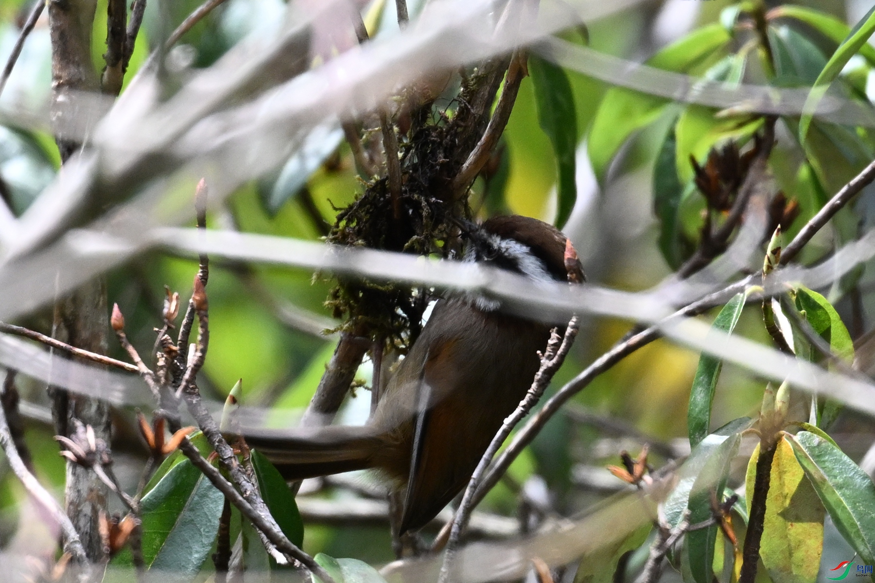 DSC_1670.JPG