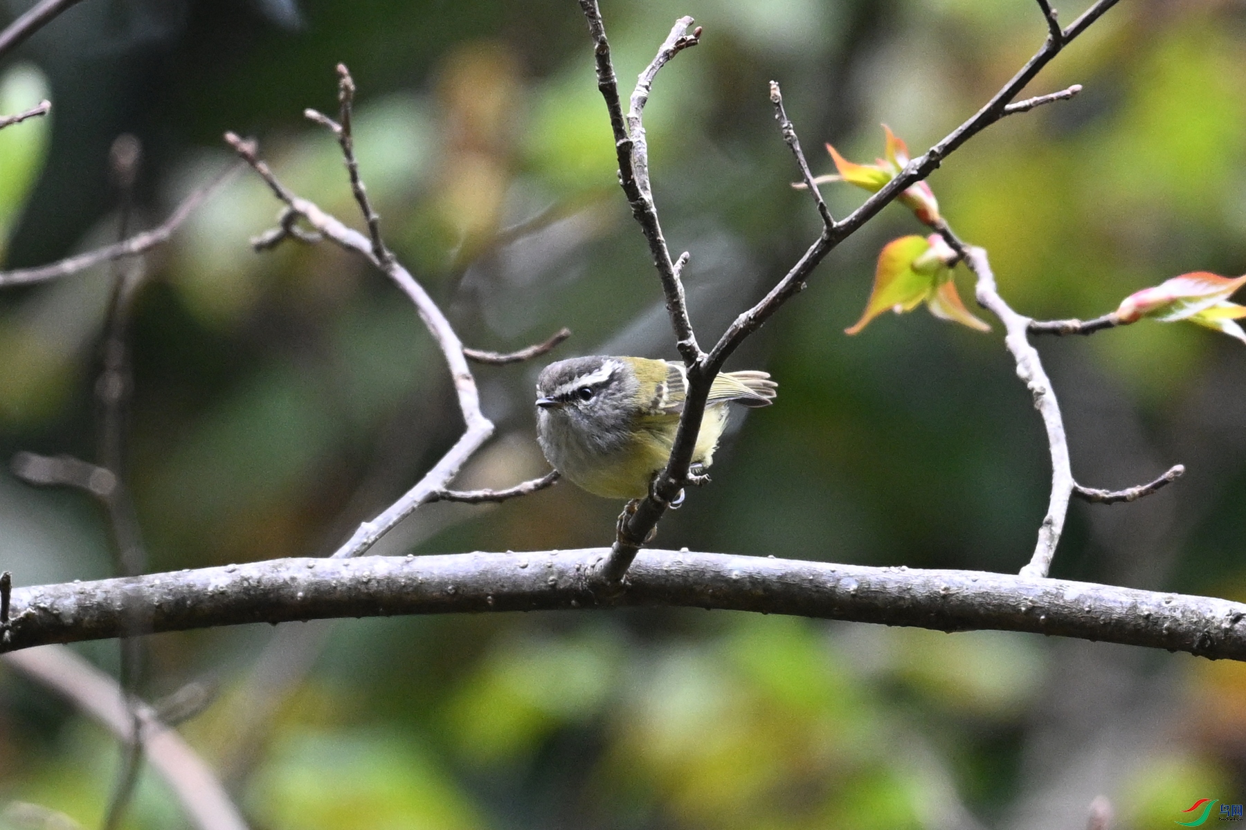 DSC_1680.JPG