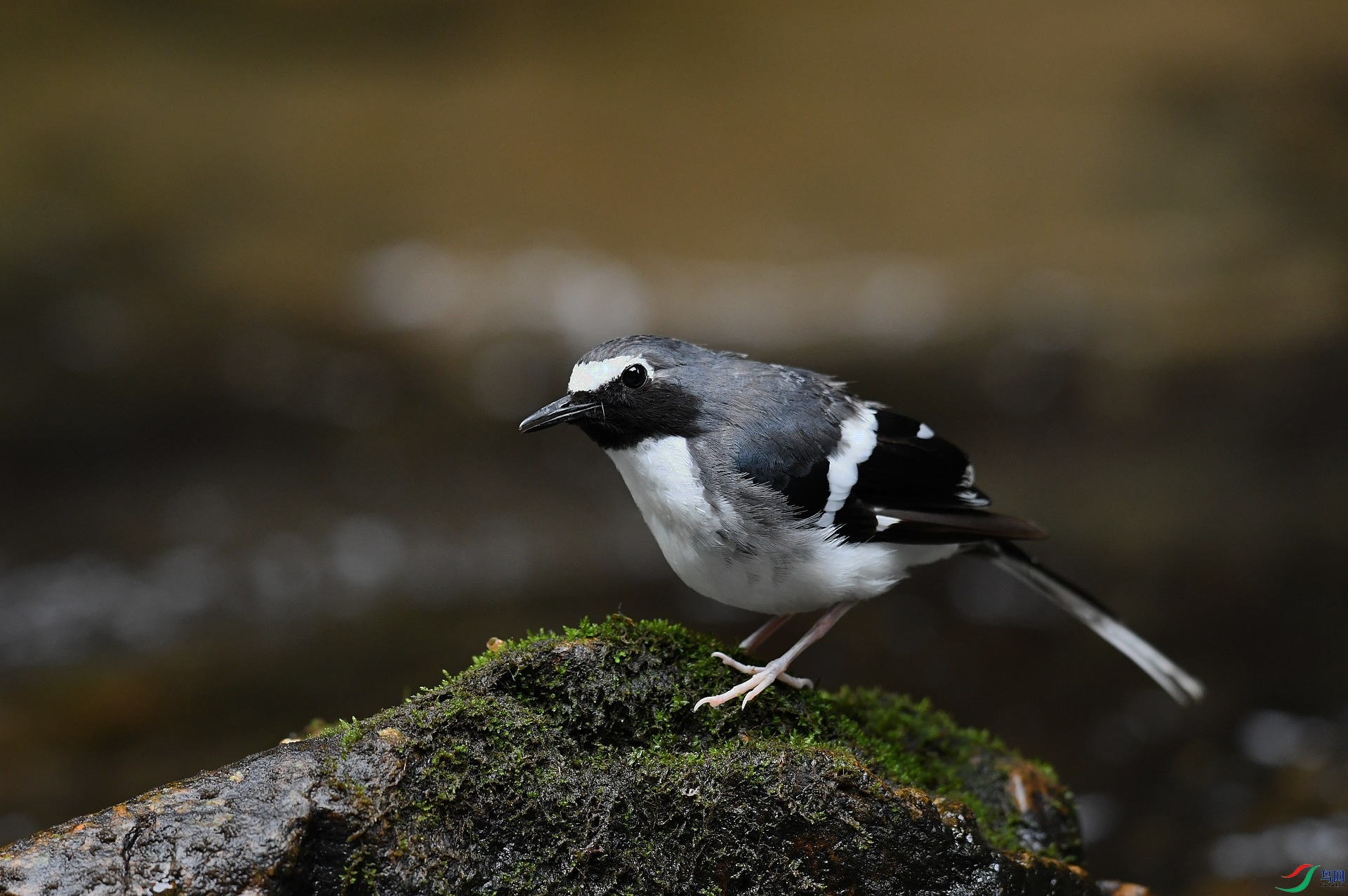 DSC_6076.jpg