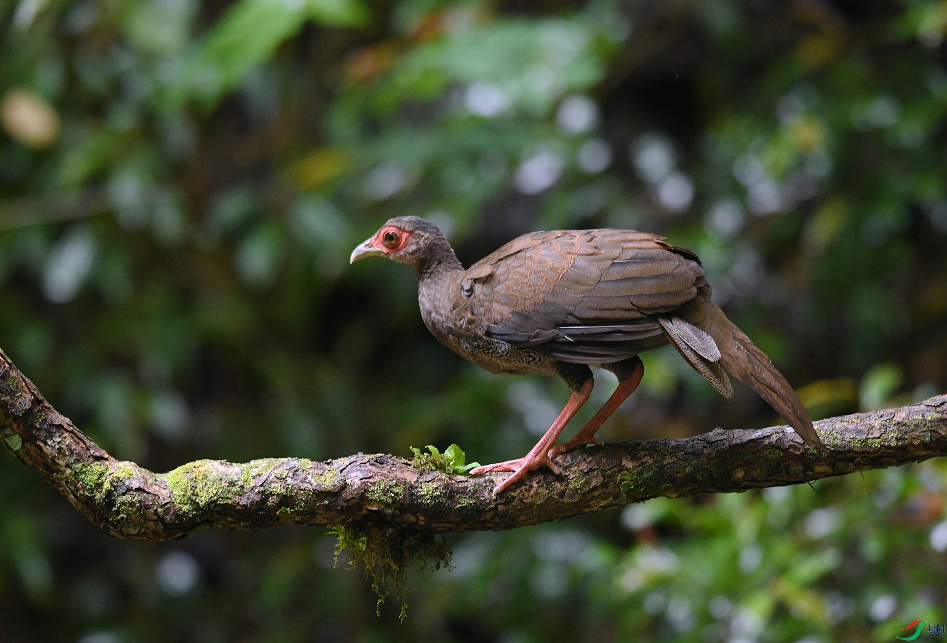 DSC_6456.jpg