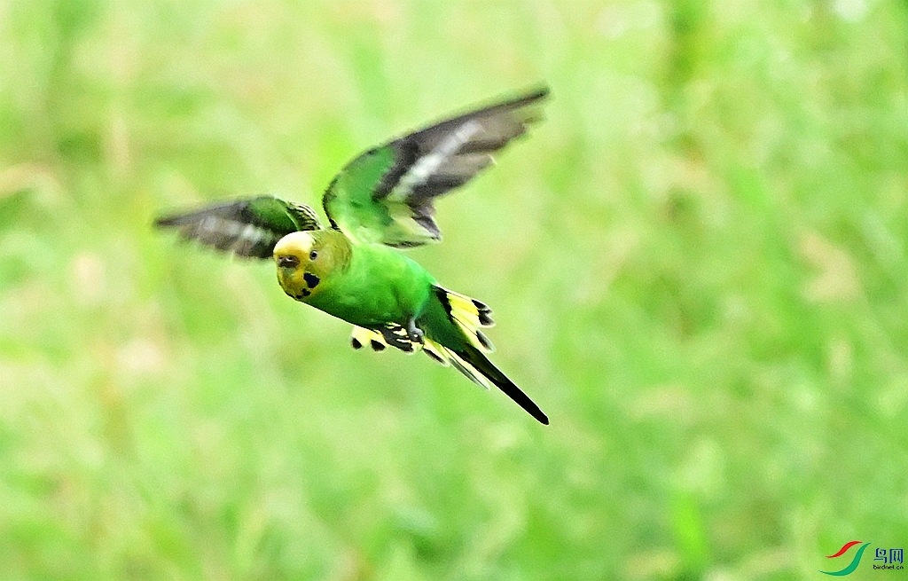 DSC_7052.JPG