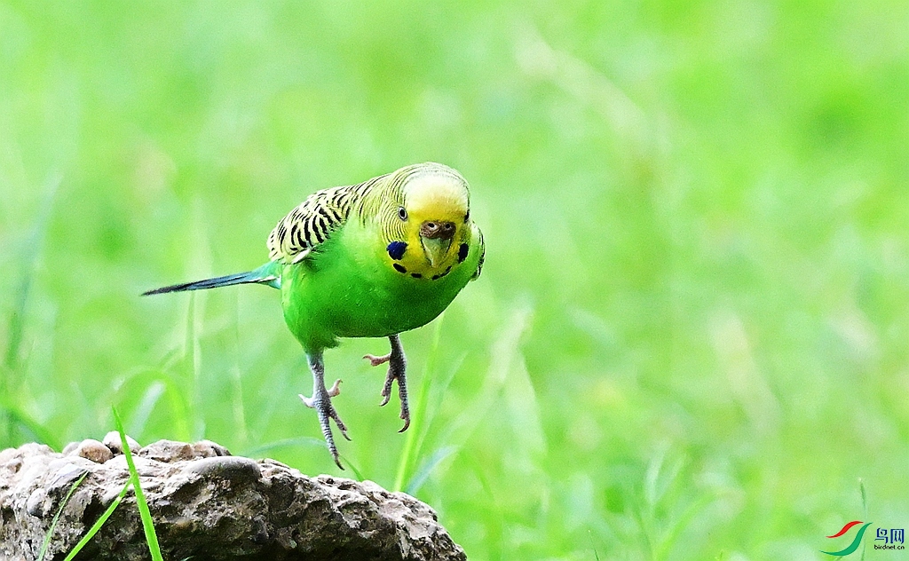 DSC_0339.JPG