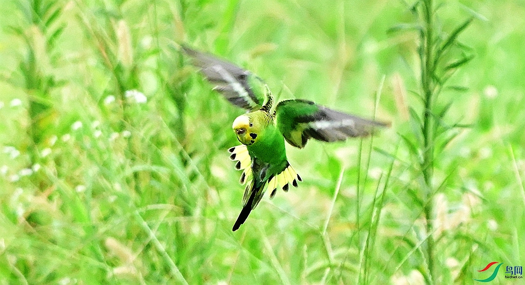 DSC_7033.JPG