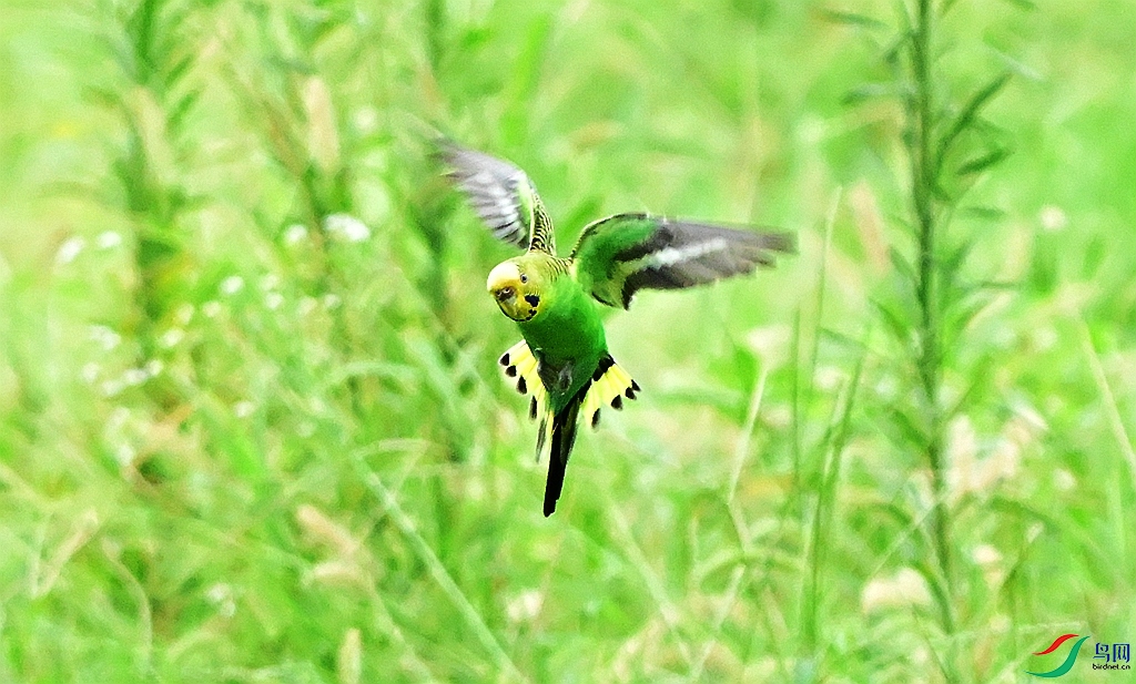 DSC_7035.JPG