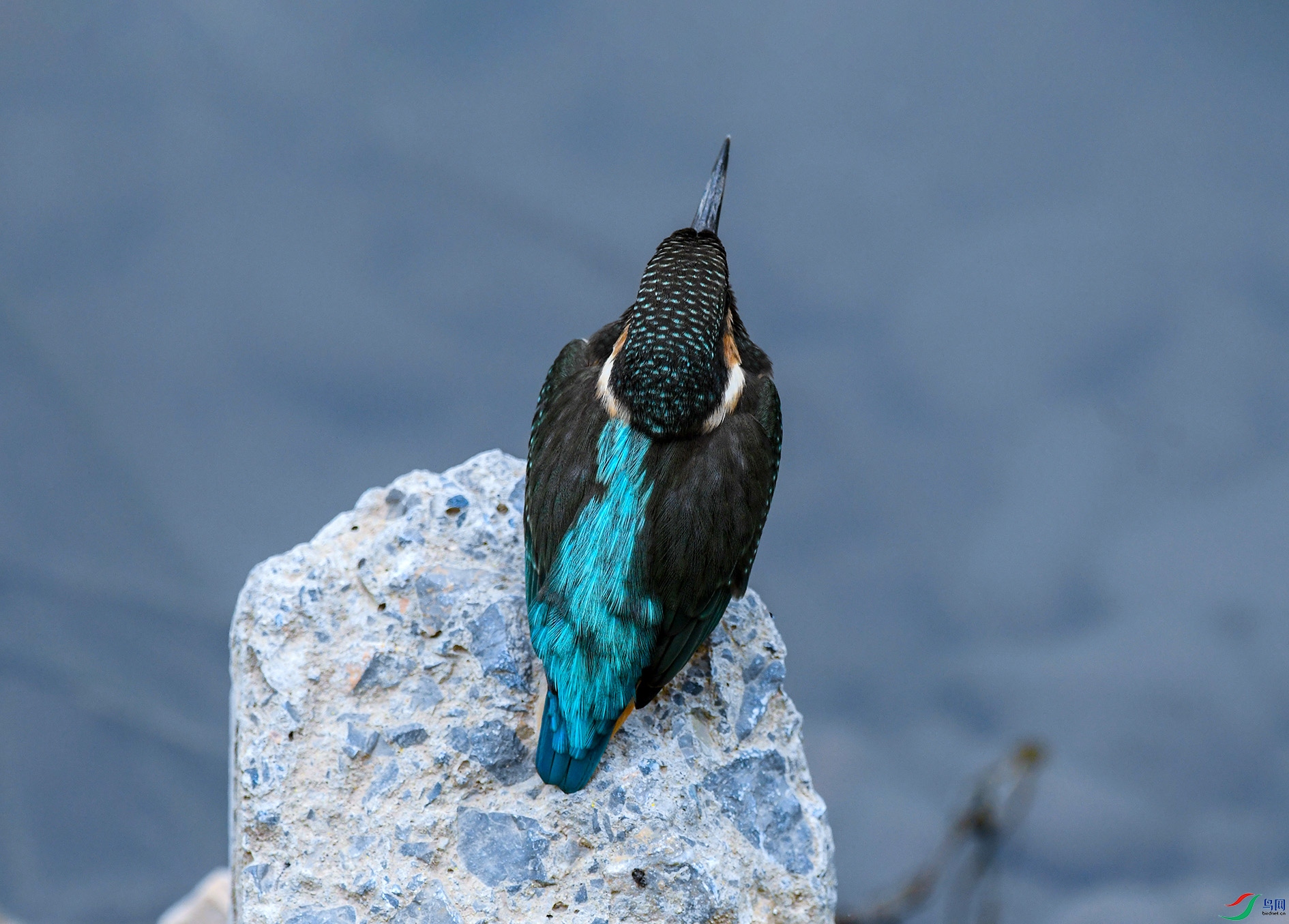 DSC_1697_��ͼ��_��ͼ��.jpg