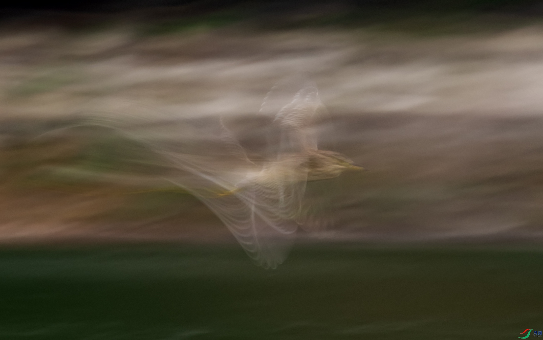 ҹ��