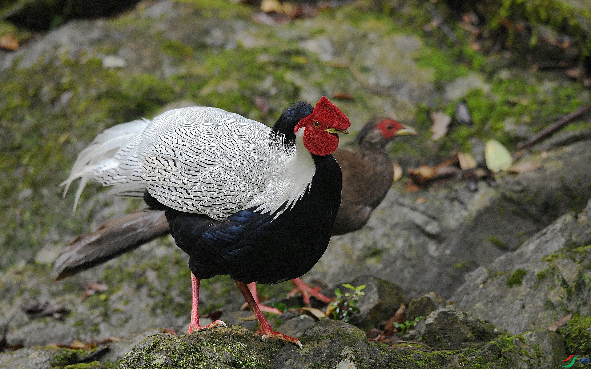 DSC_6437.jpg