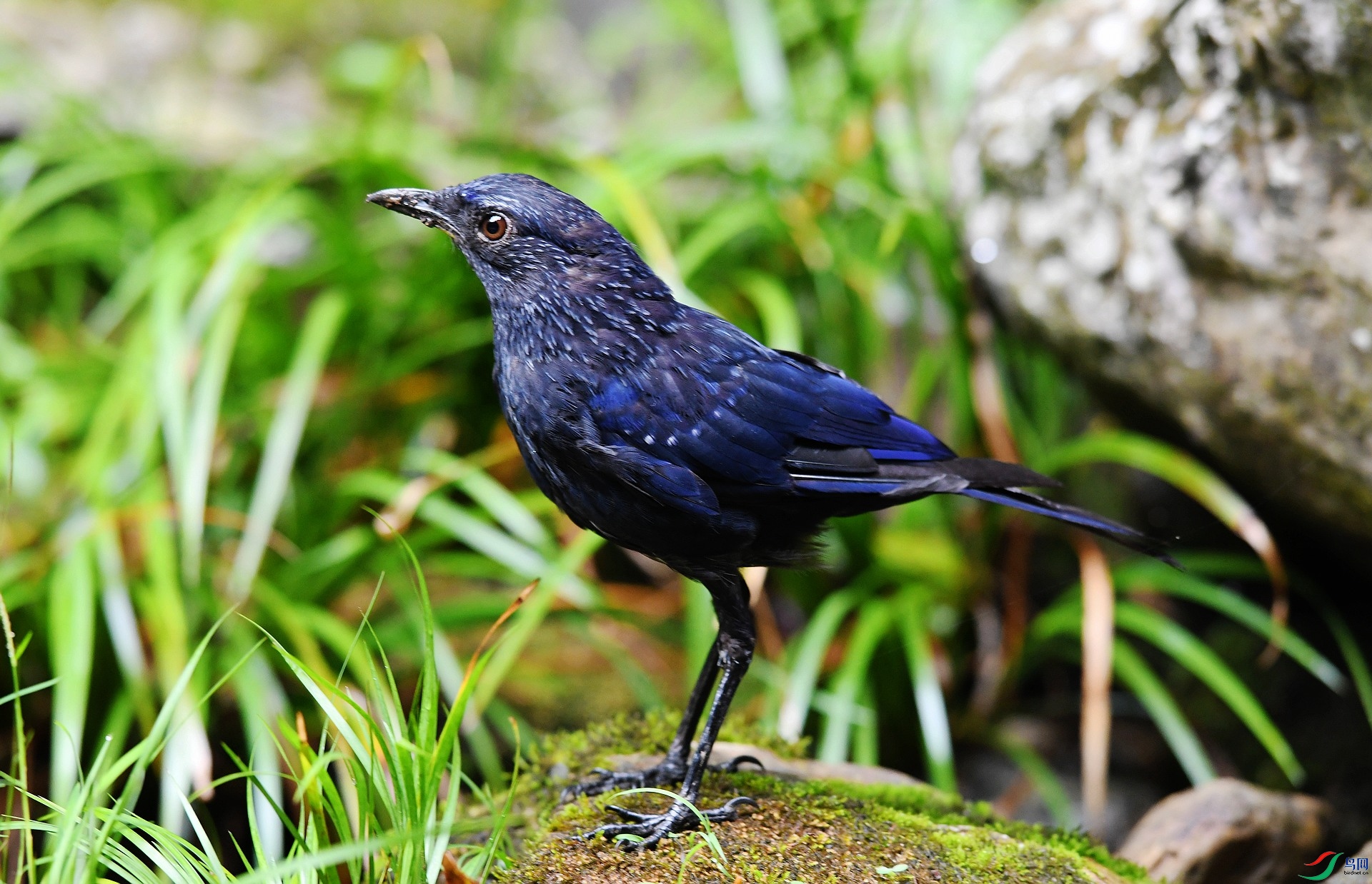 DSC_6178.jpg