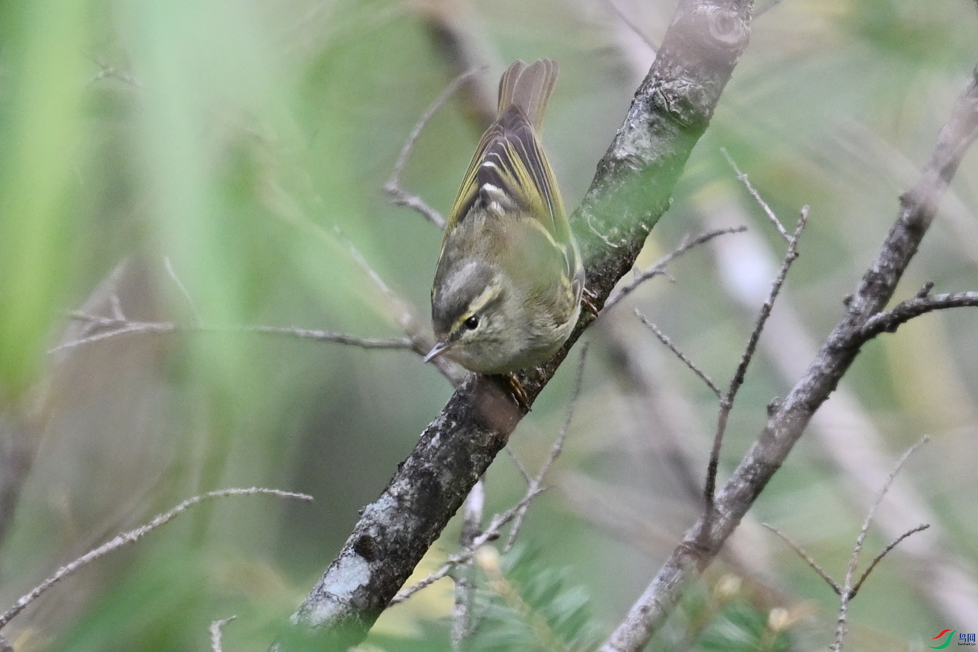DSC_1746.JPG