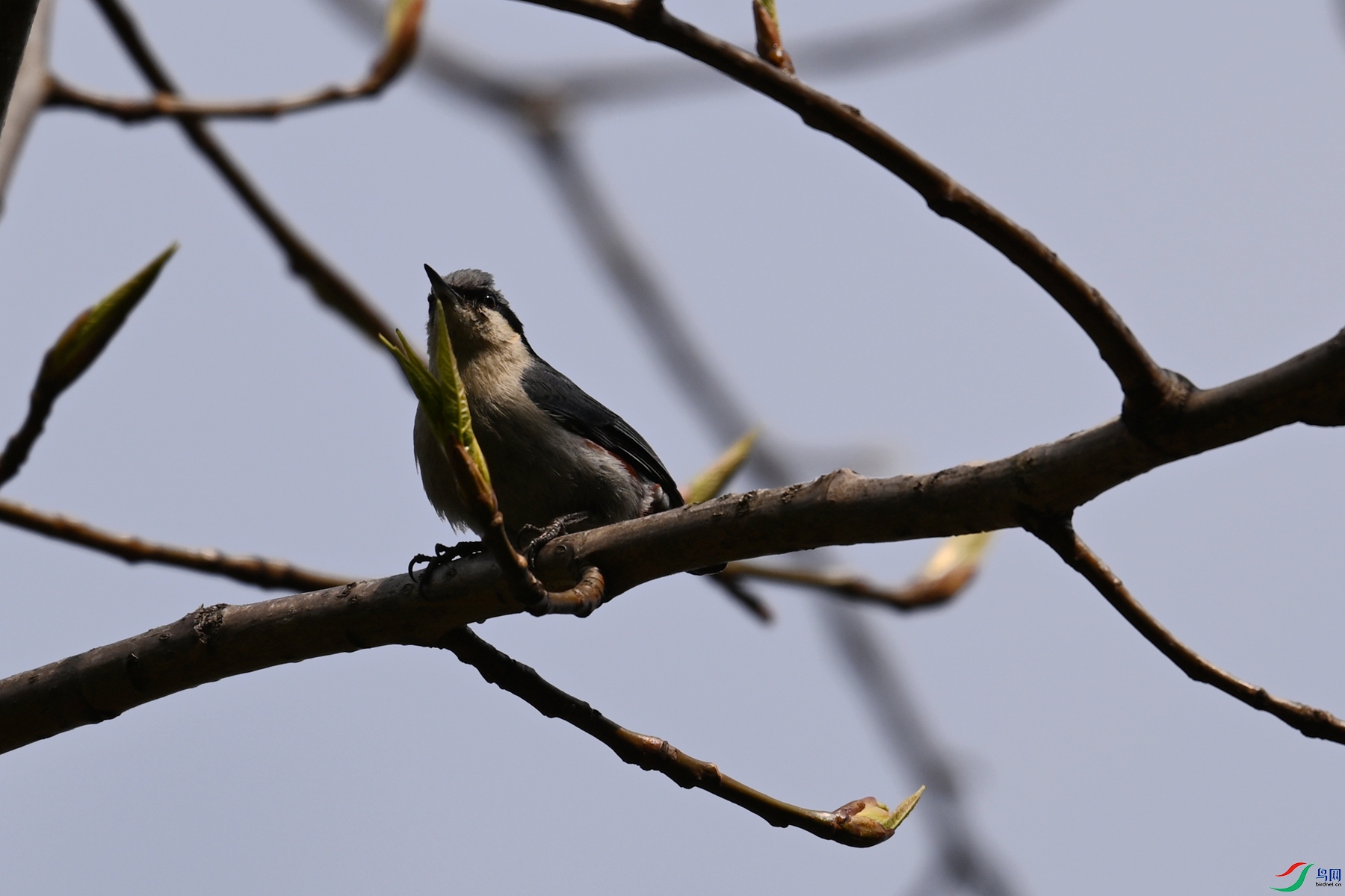DSC_1697.JPG