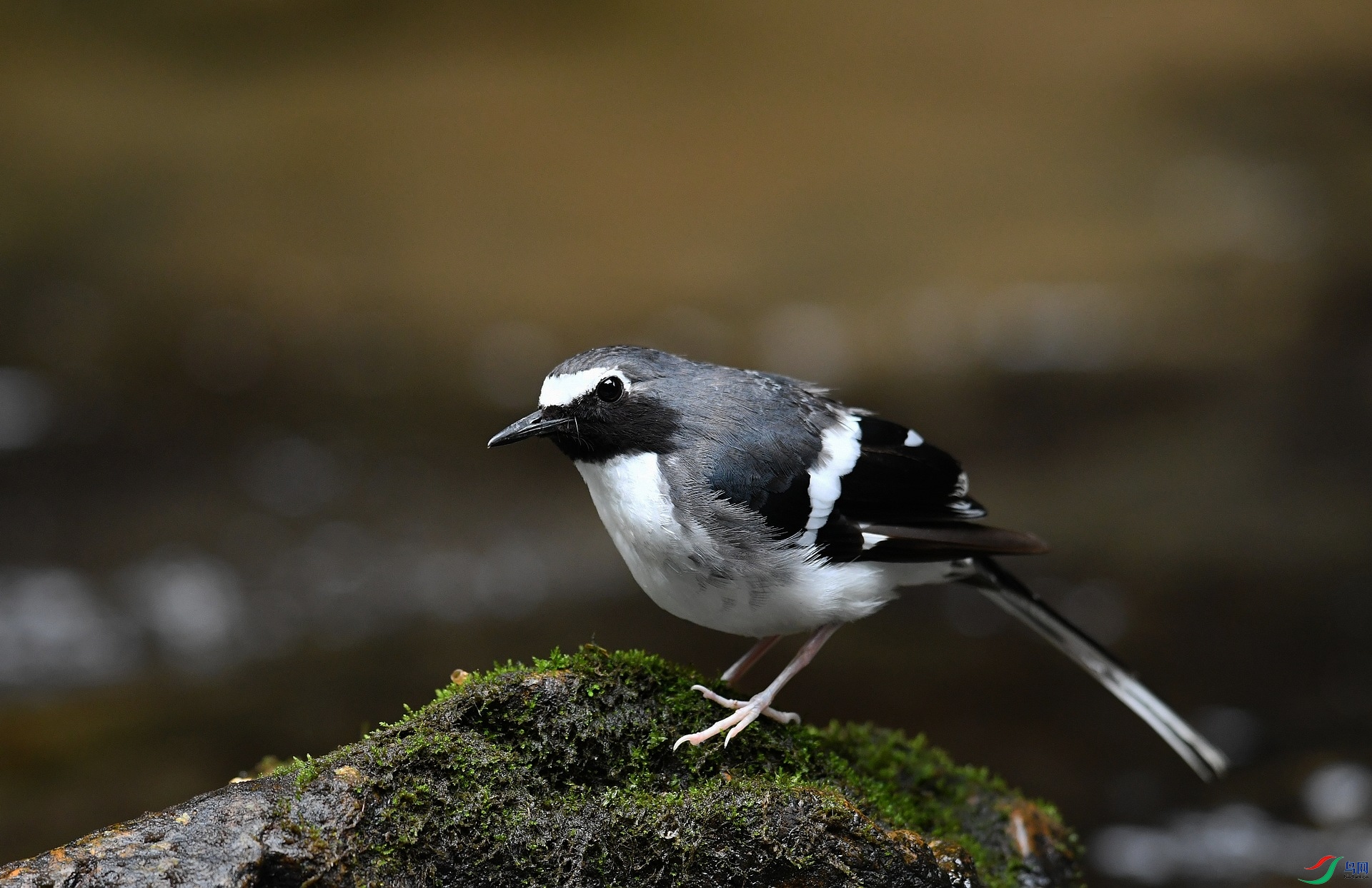 DSC_6078.jpg