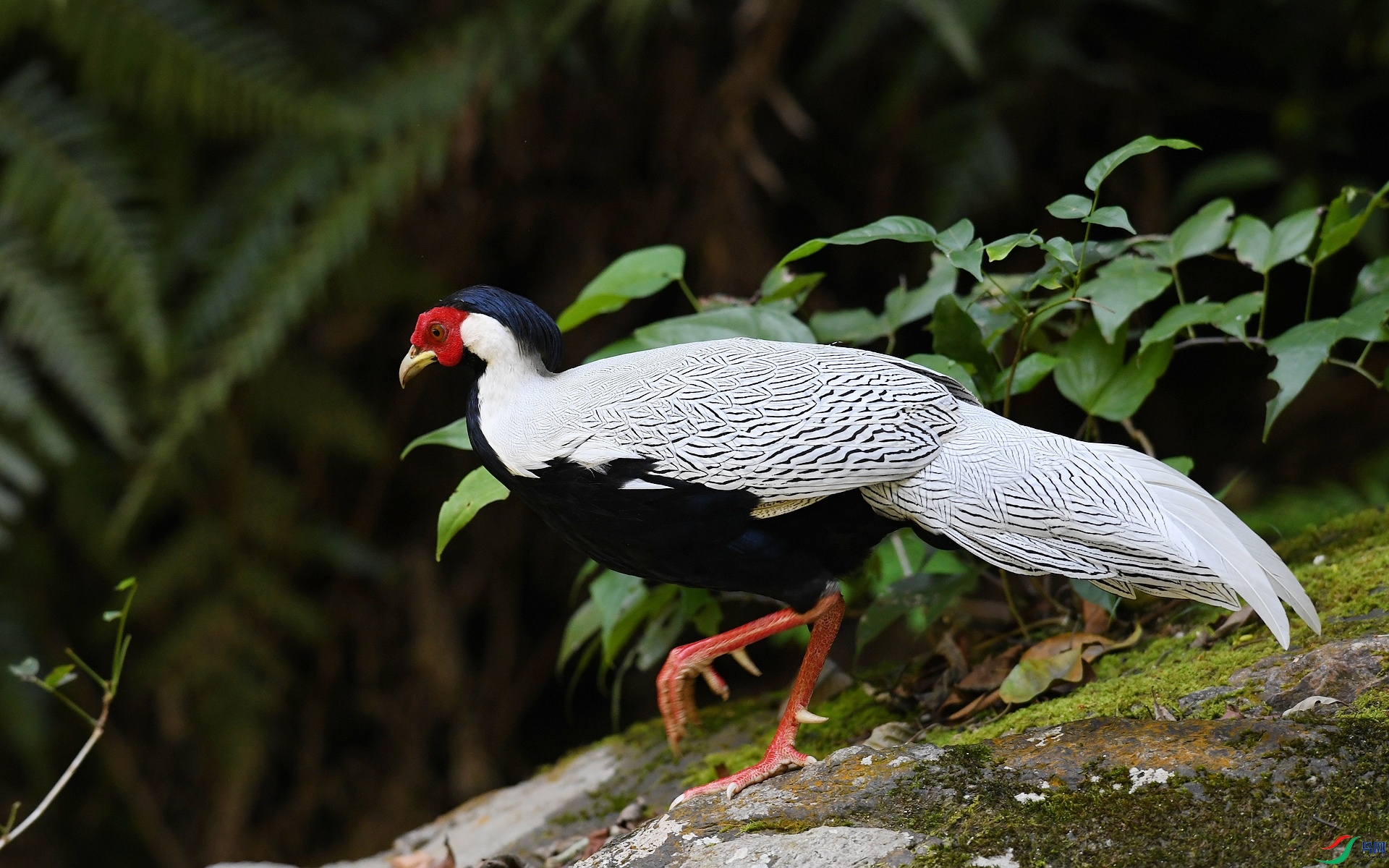 DSC_6800.jpg