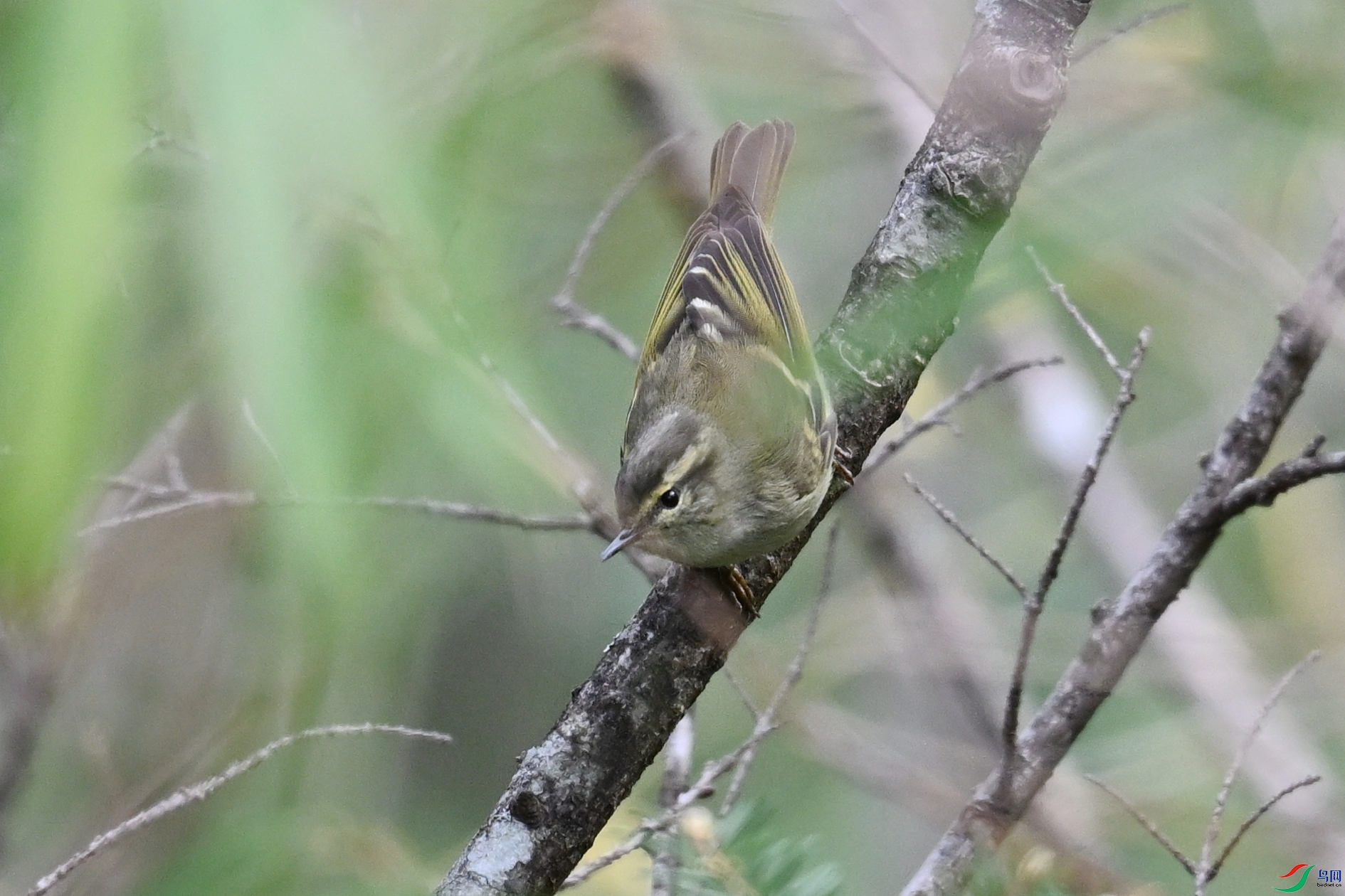DSC_1745.JPG