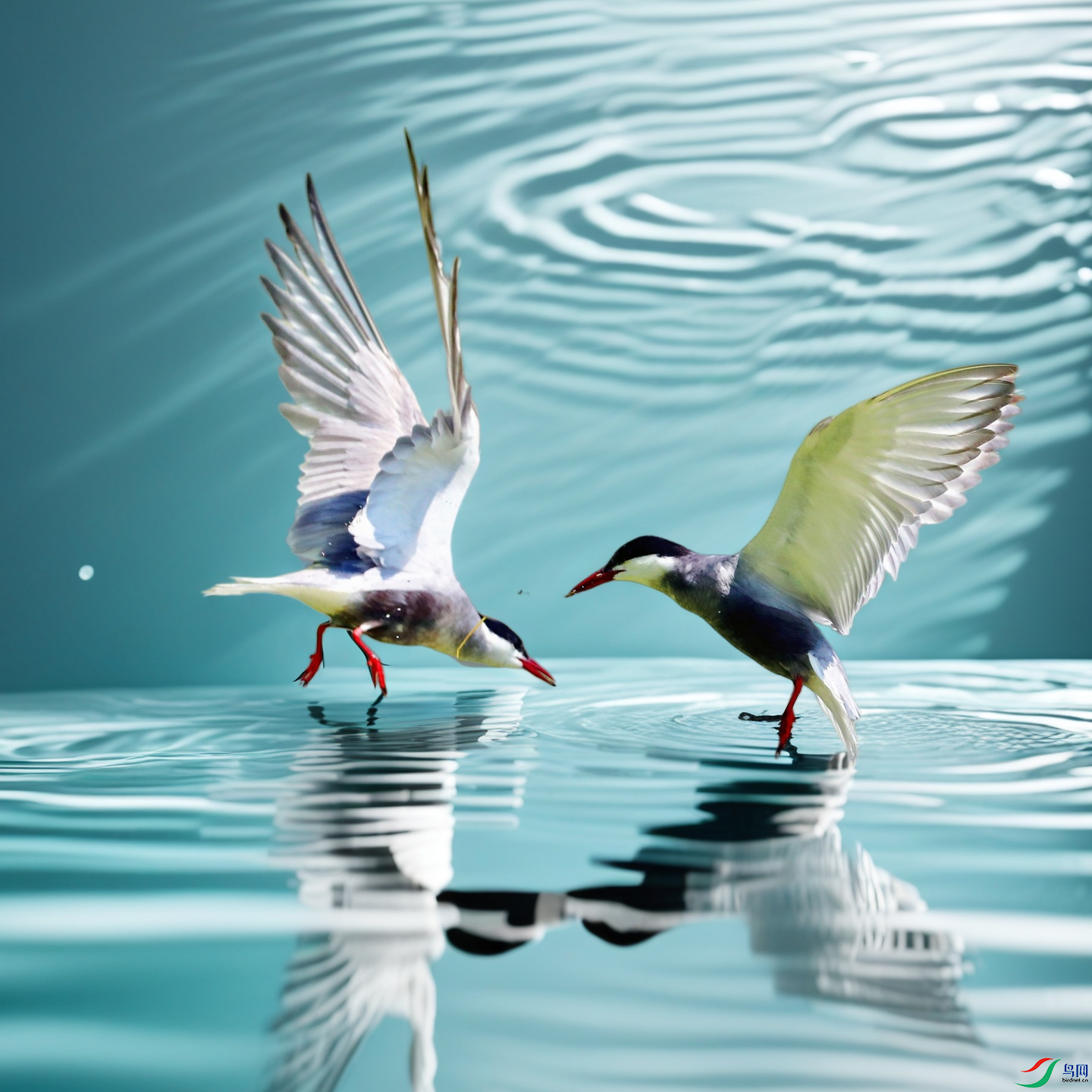 AS8I0344_����_����.png
