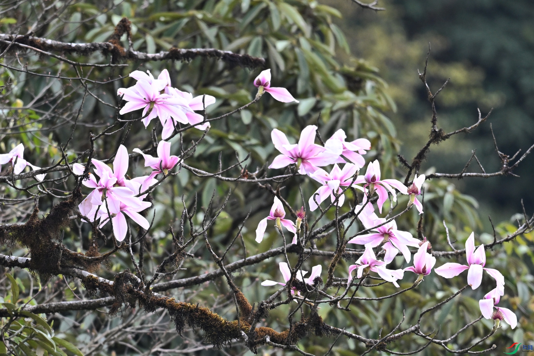 DSC_1774.JPG
