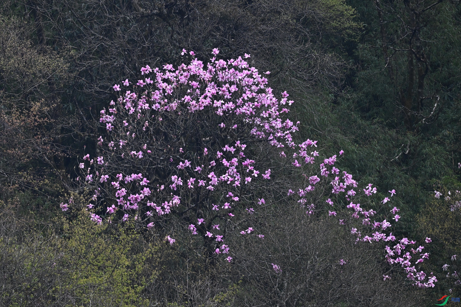 DSC_1777.JPG