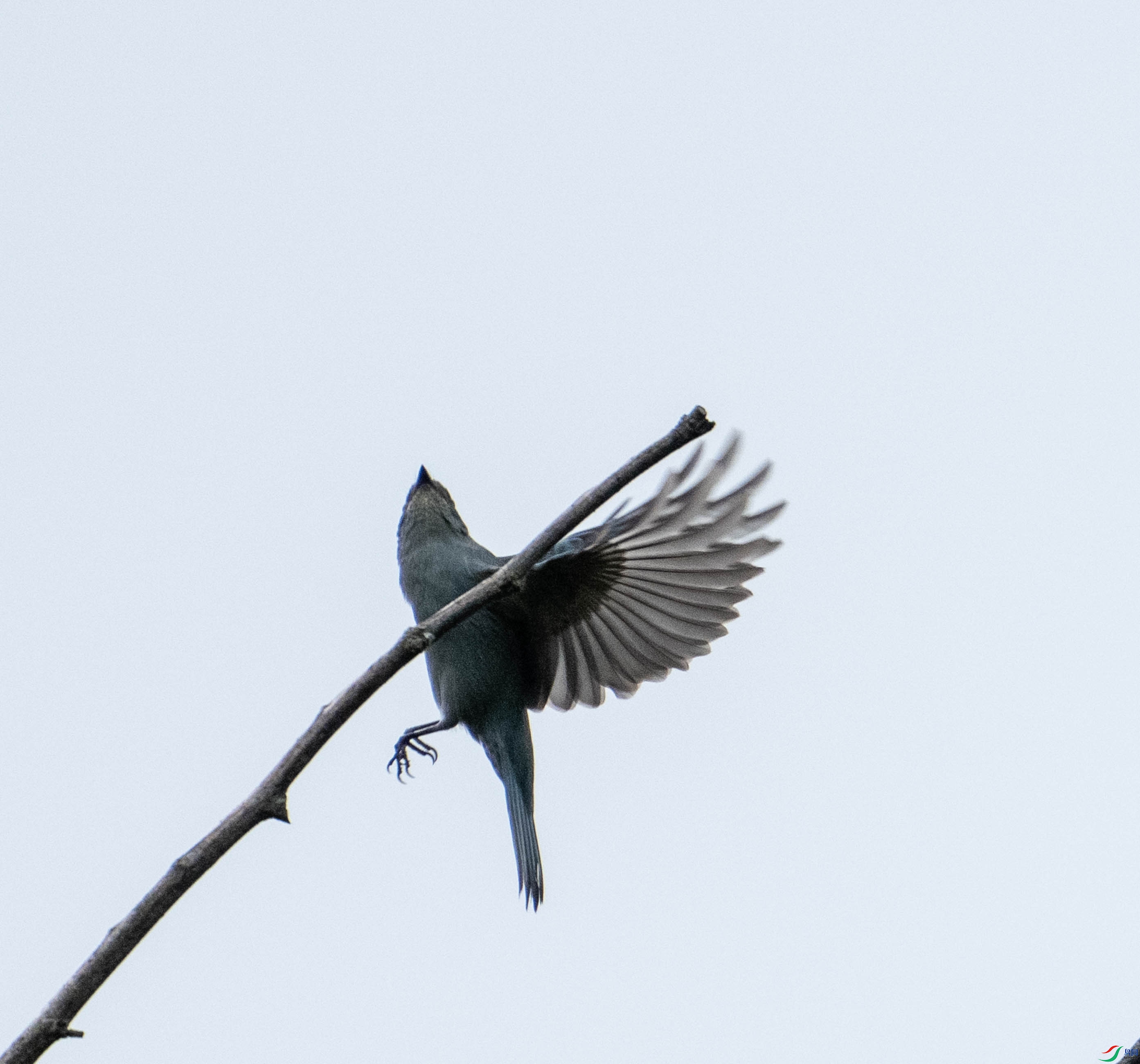 DSC02222.jpg