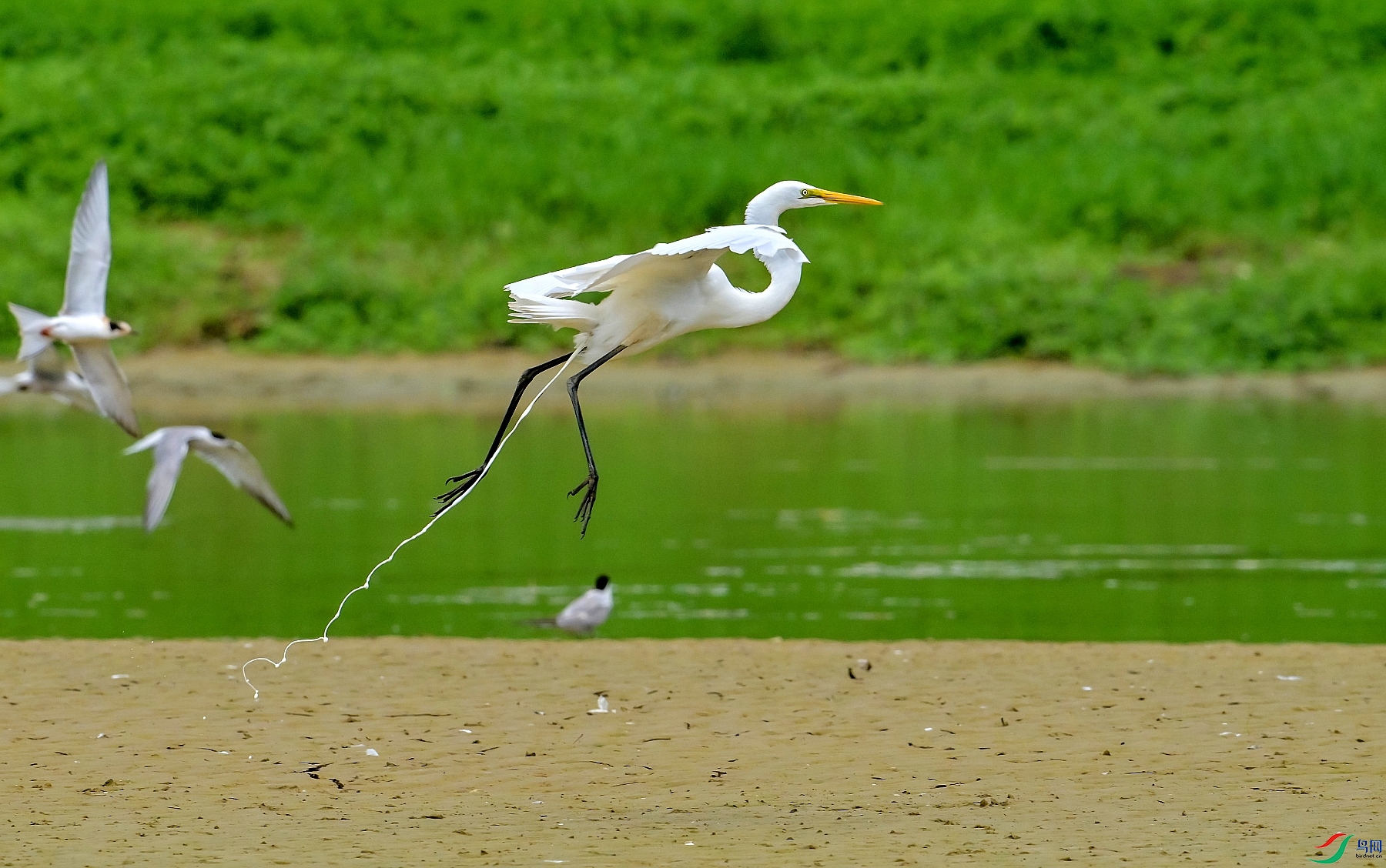 DSC_9341�ױ�ƮƮ.jpg