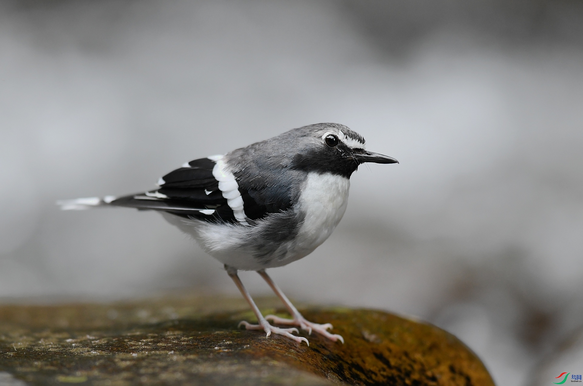 DSC_0456.jpg