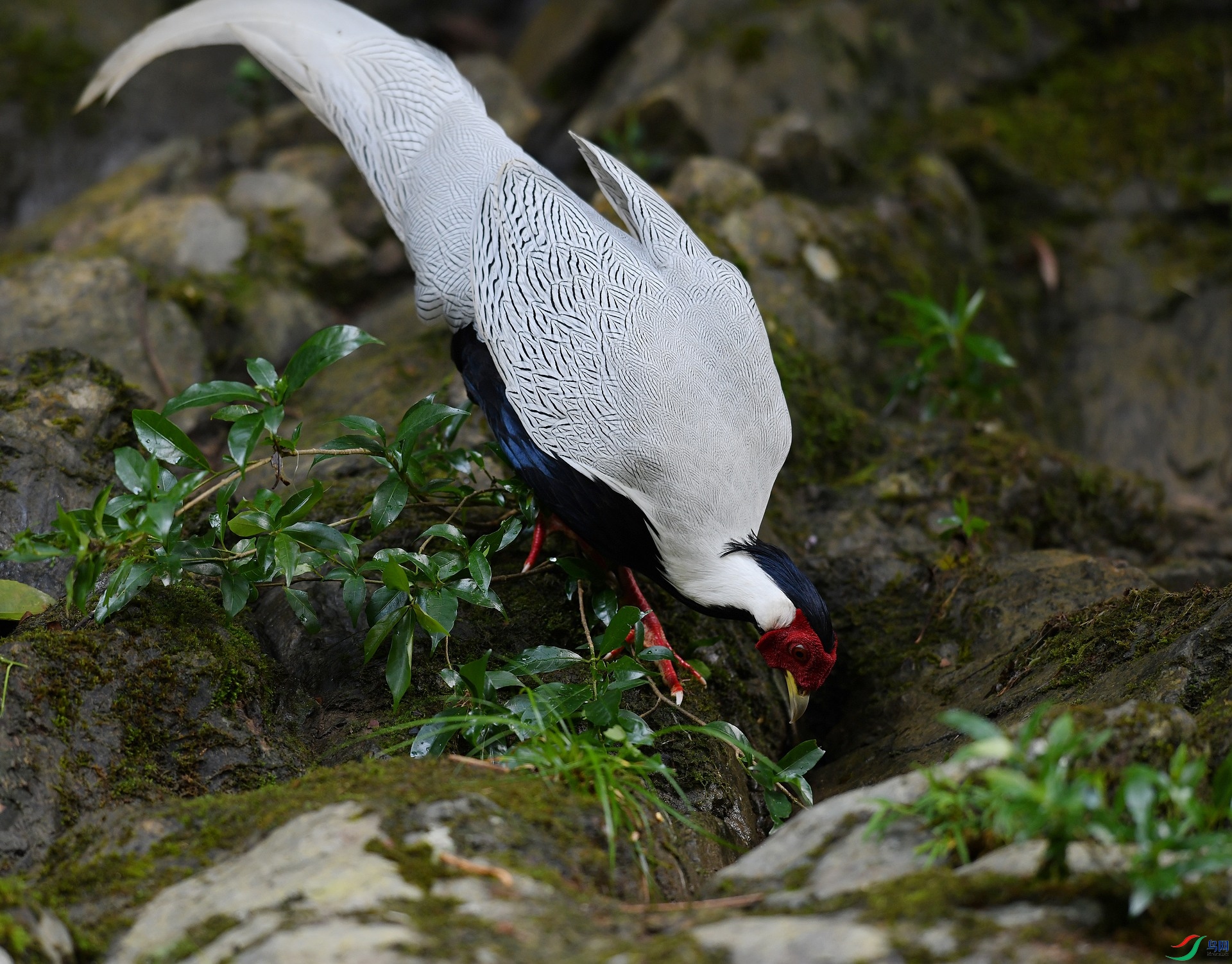 DSC_1429.jpg