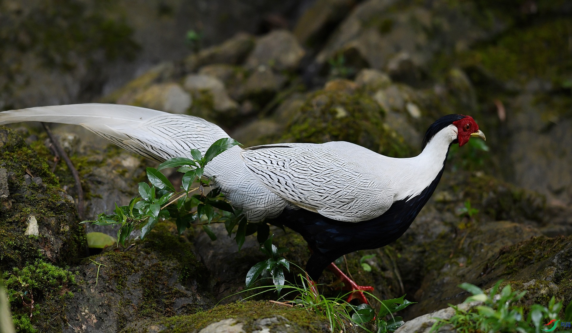 DSC_1451.jpg