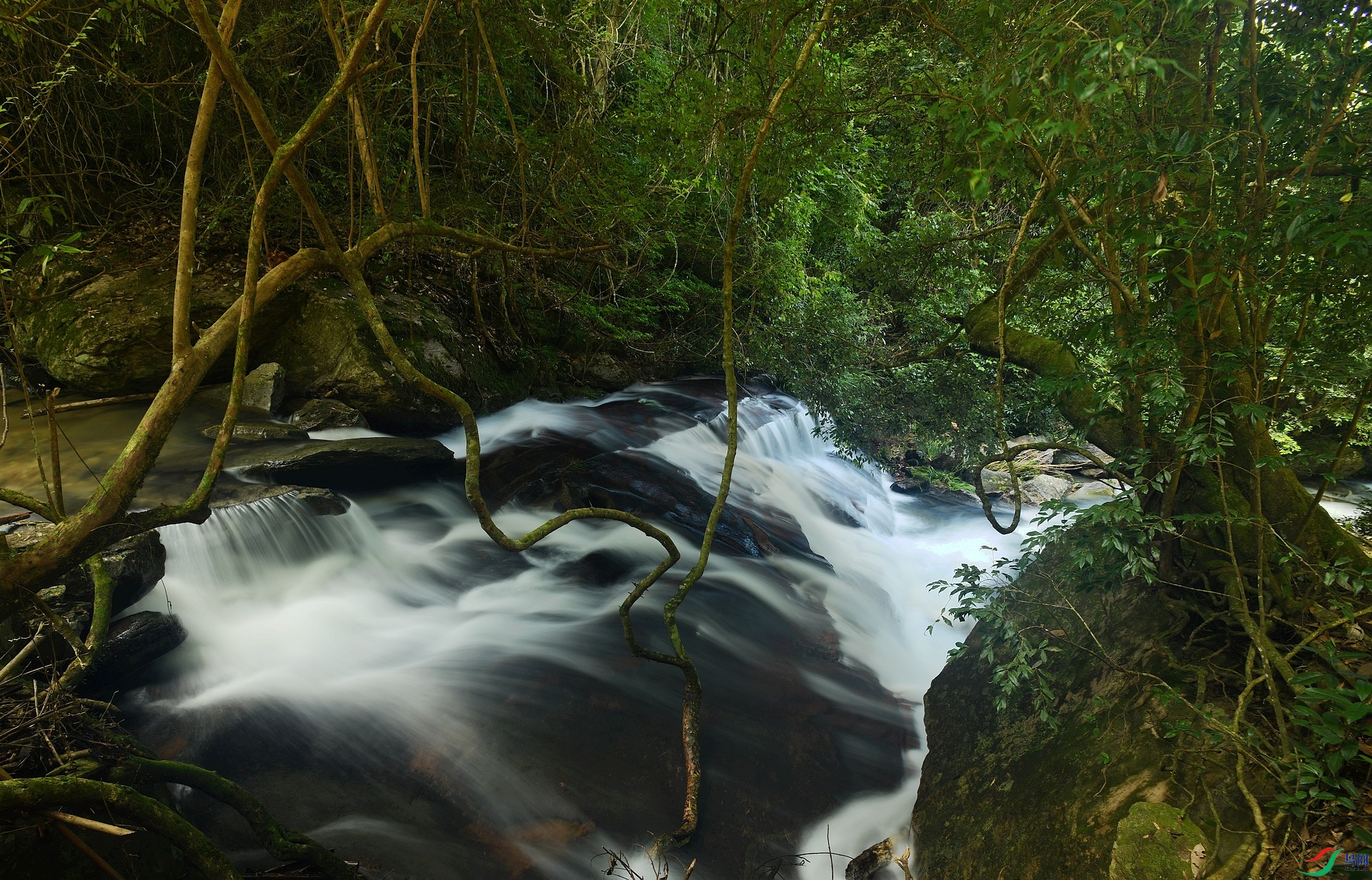 DSC_2284.jpg