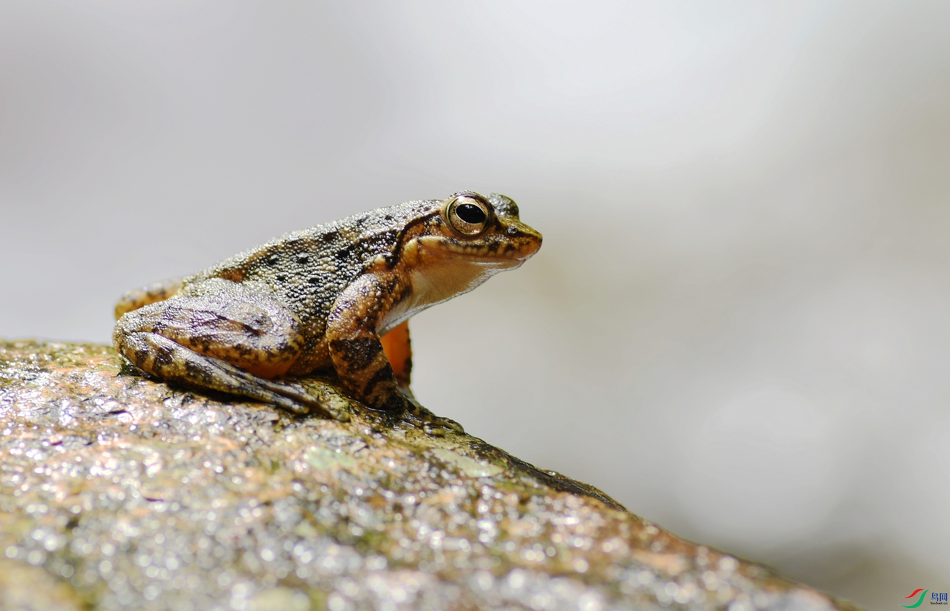 DSC_2345.jpg