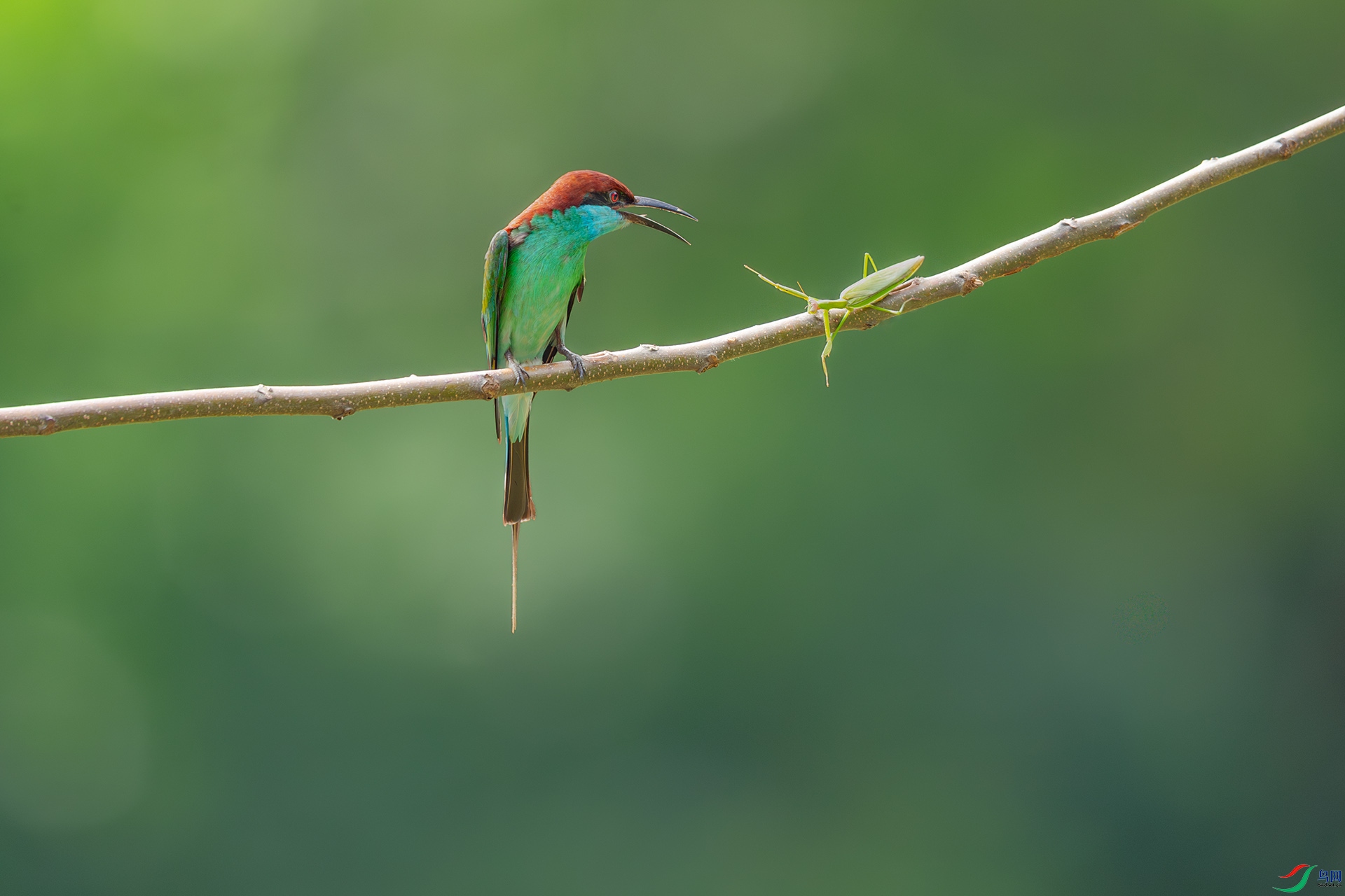 DSC_7783.jpg