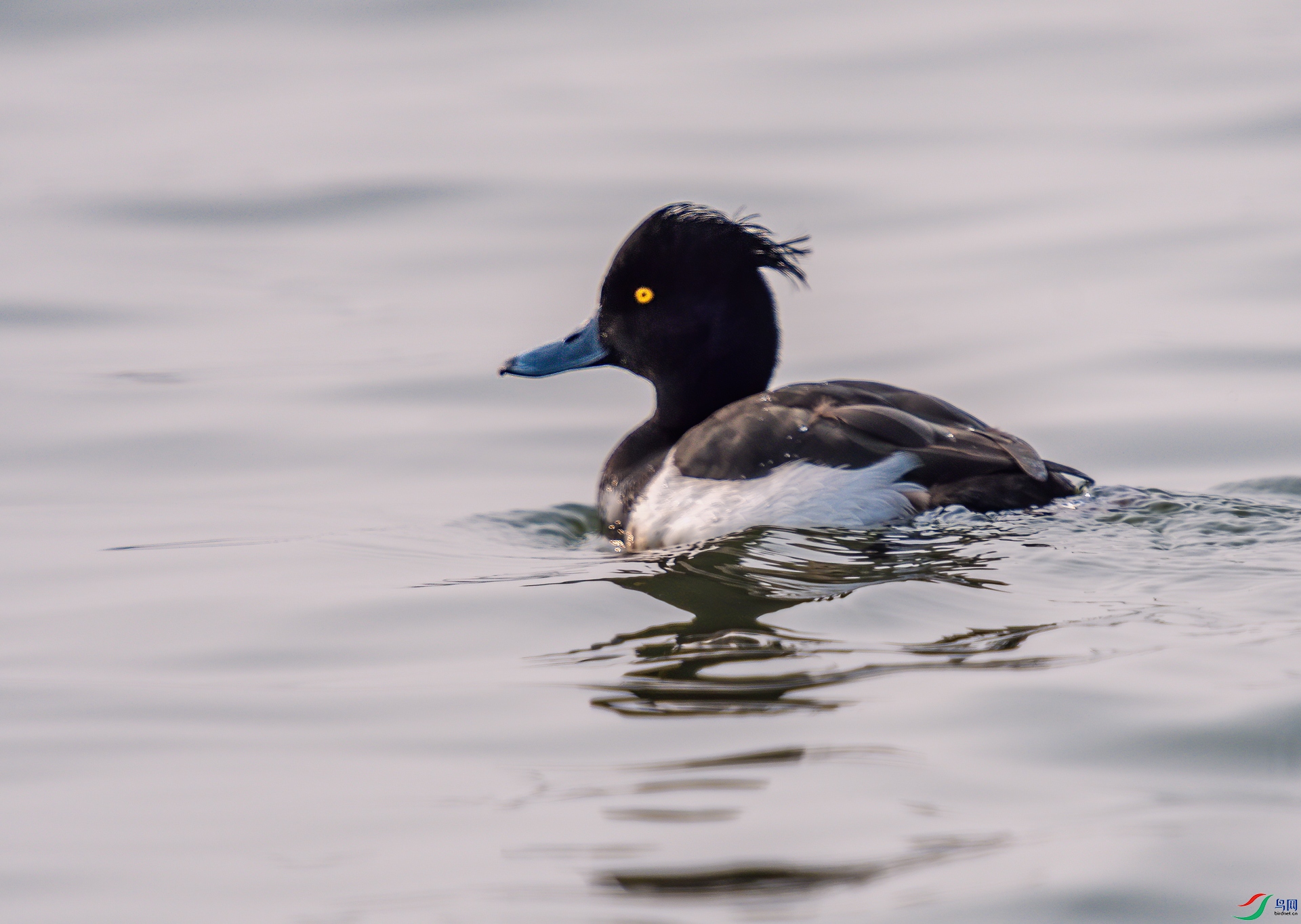 DSC_3212-1.jpg