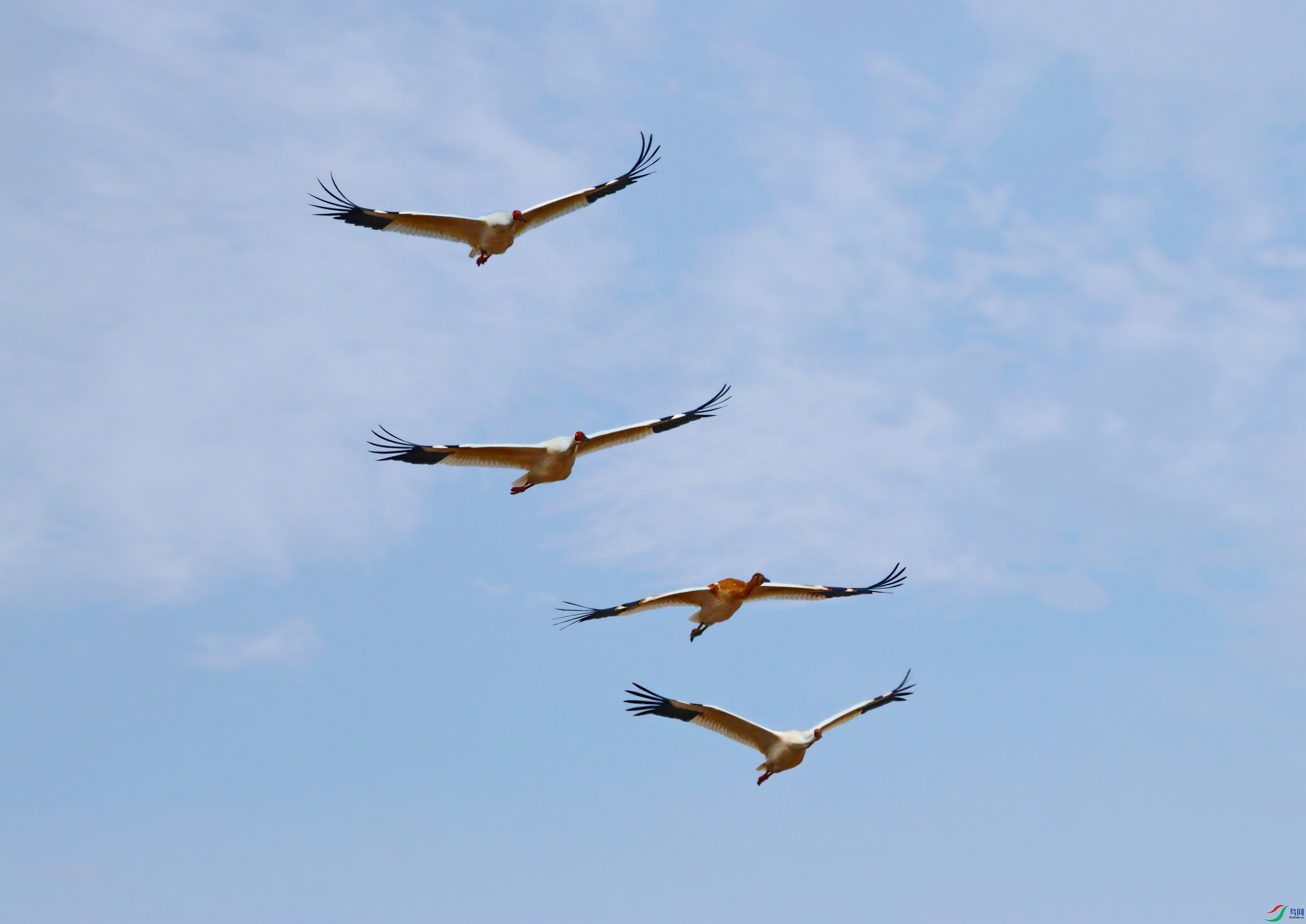 1V5A5893-119.JPG