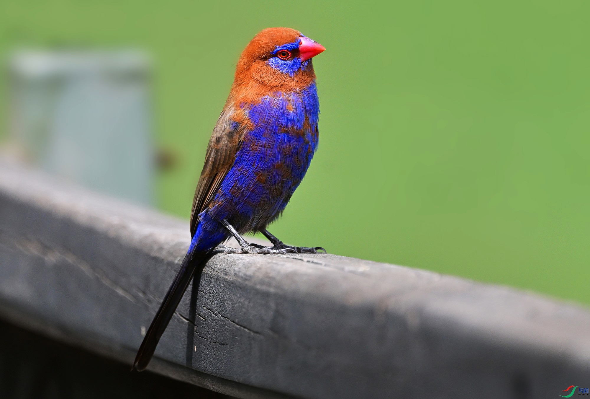 DSC_8205_.jpg