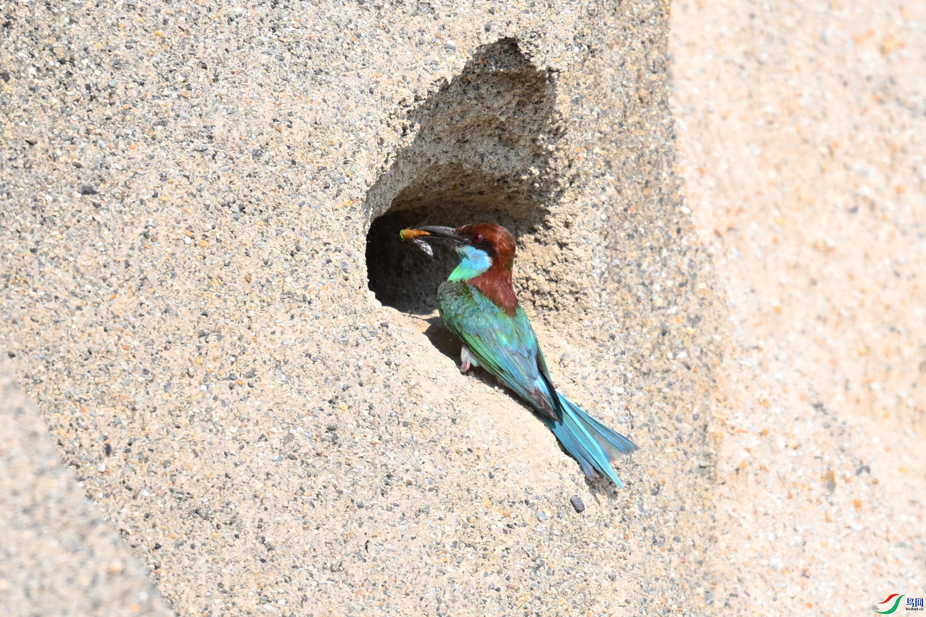 DSC_2668.JPG