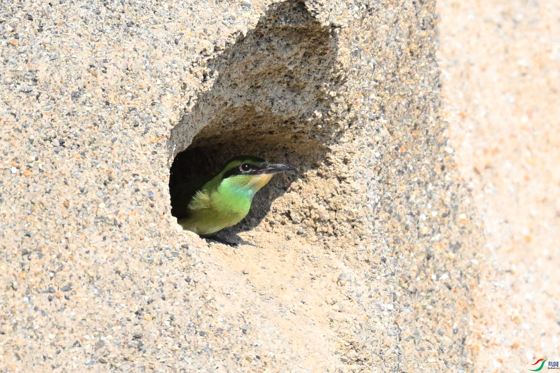 DSC_2703.JPG