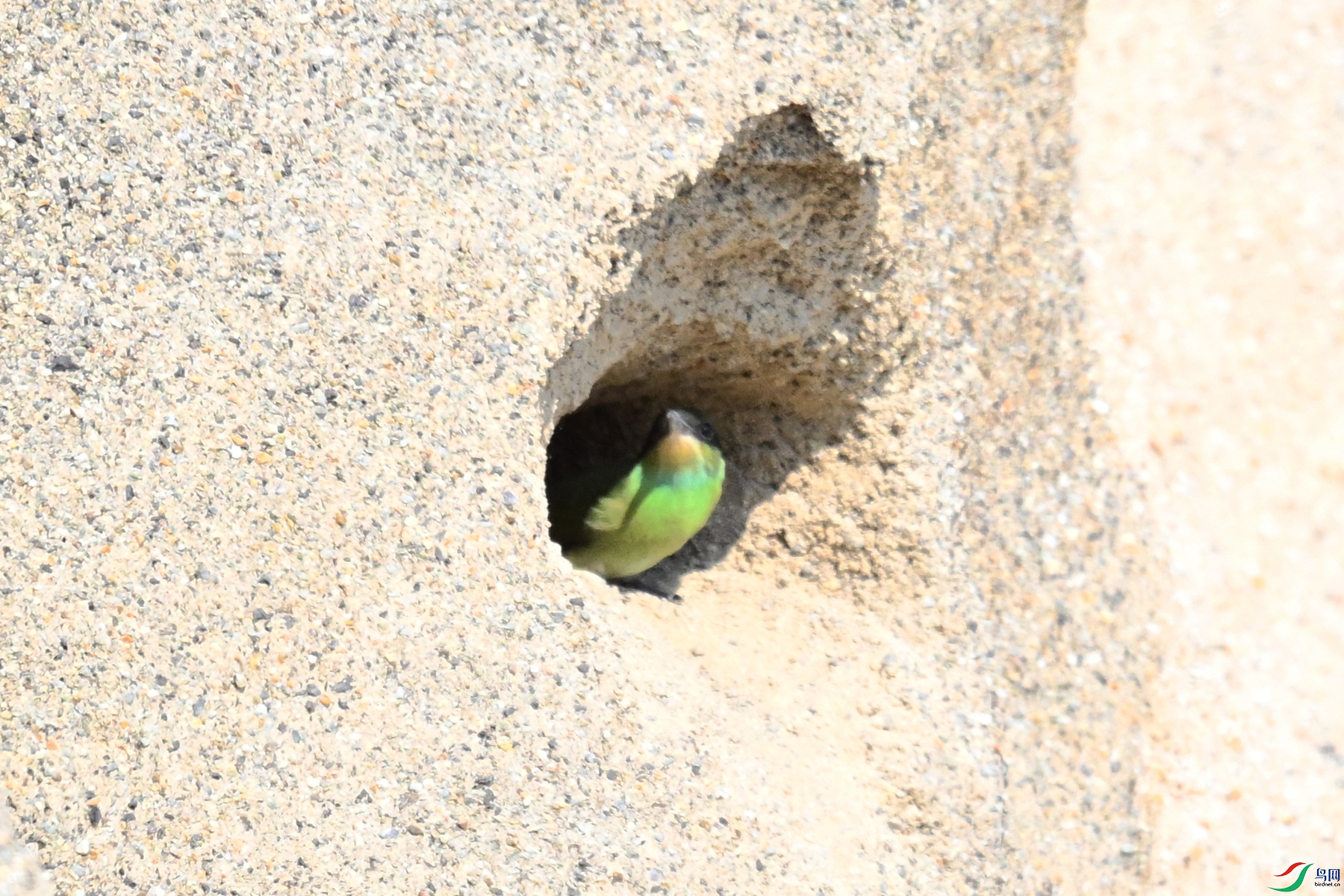 DSC_2721.JPG
