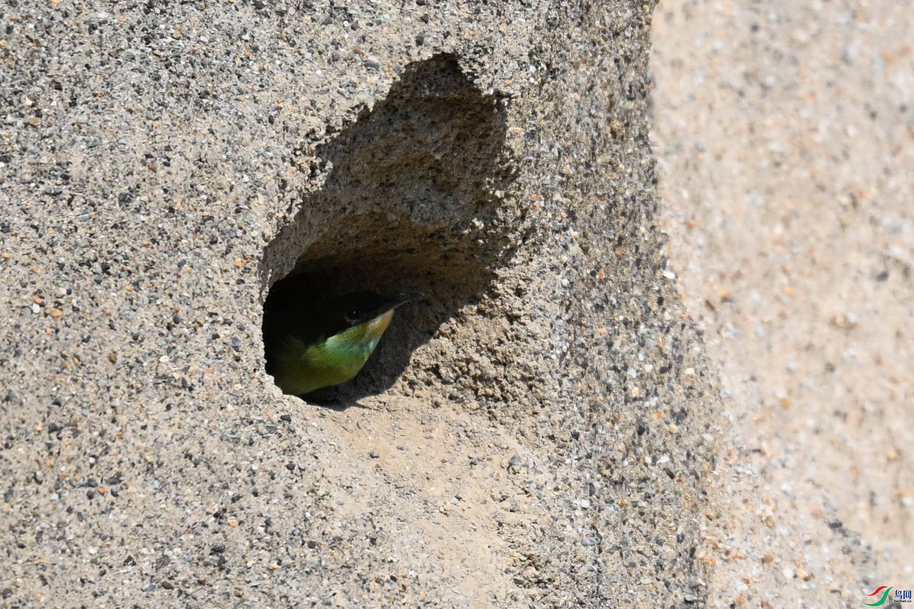 DSC_2693.JPG