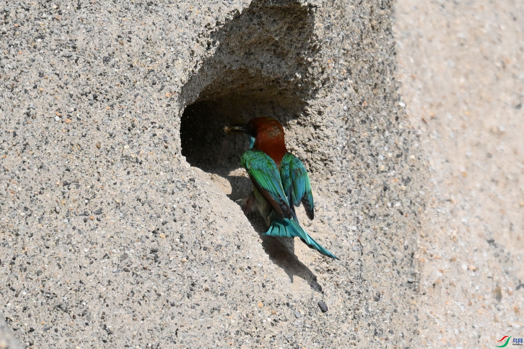 DSC_2726.JPG
