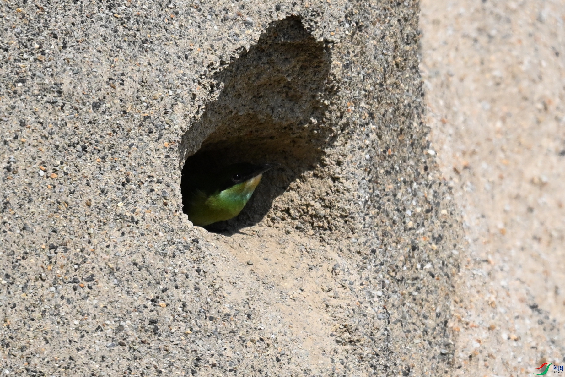 DSC_2695.JPG