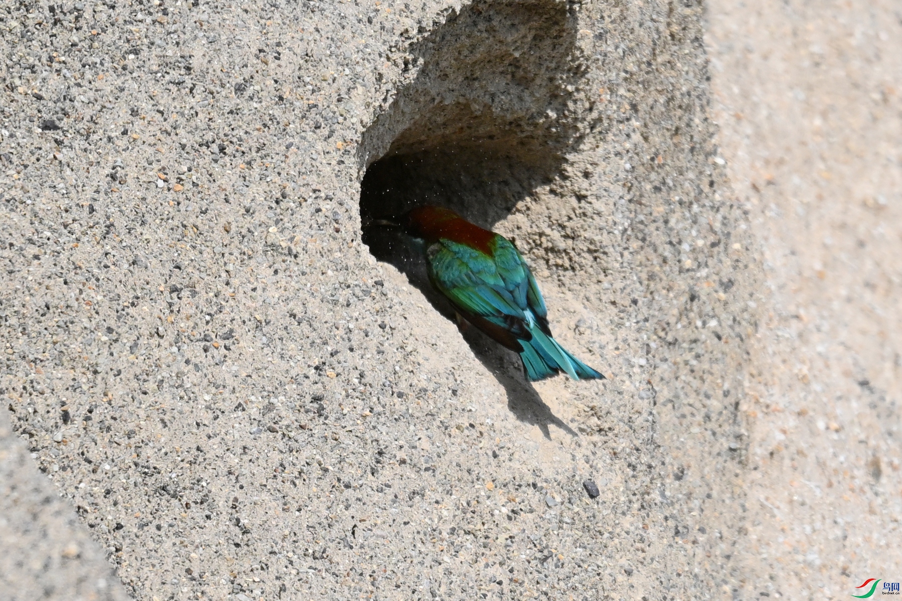 DSC_2728.JPG