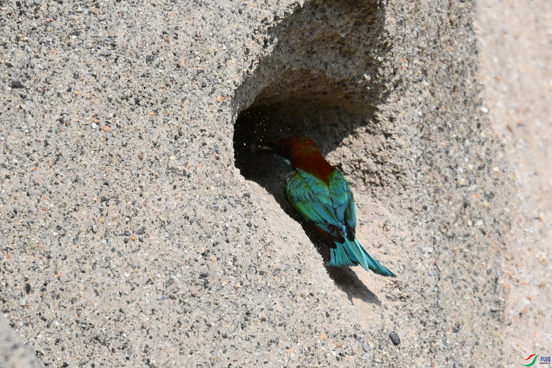 DSC_2727.JPG