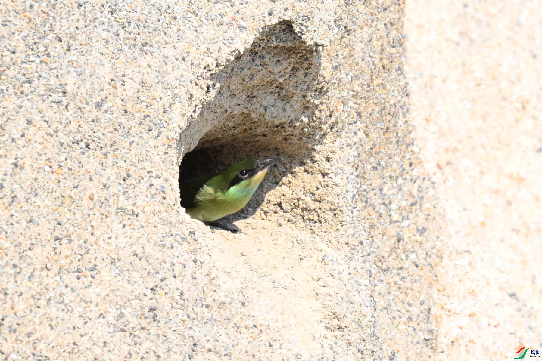 DSC_2697.JPG