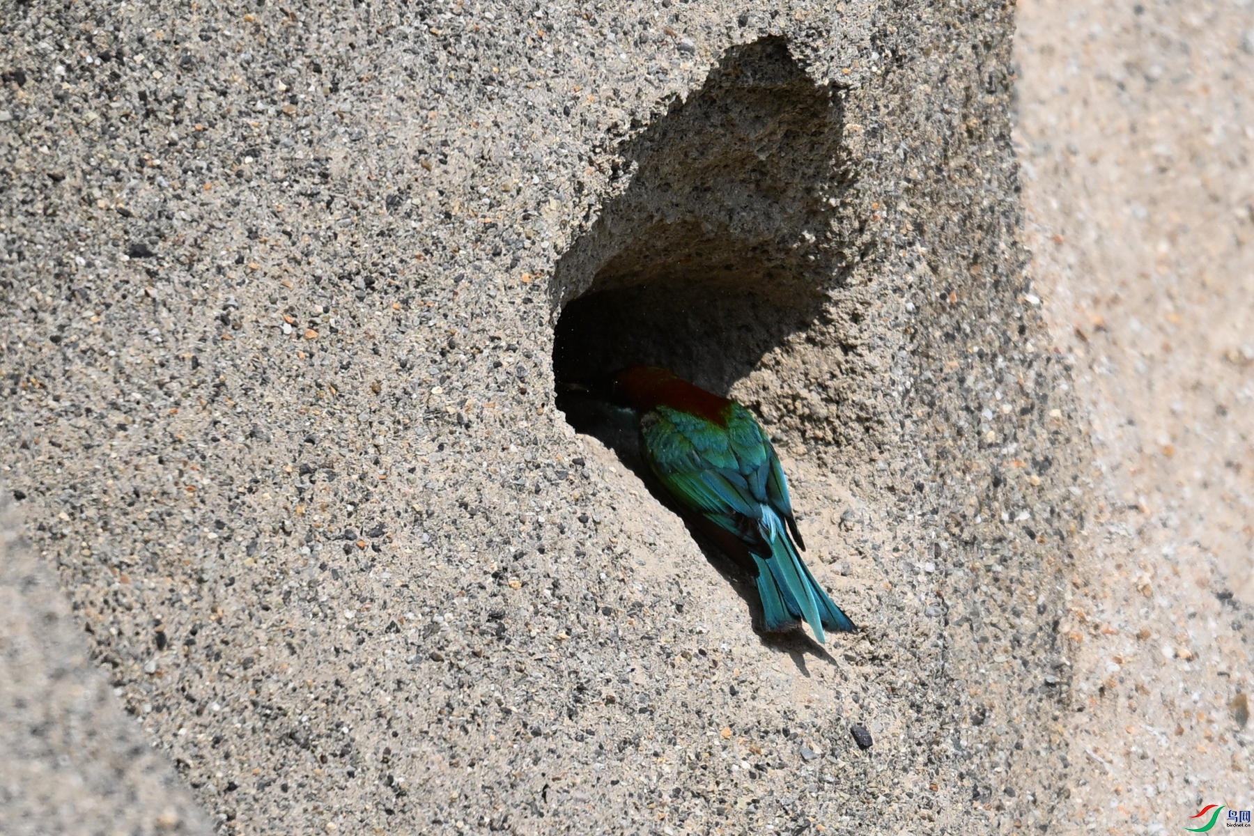 DSC_2730.JPG