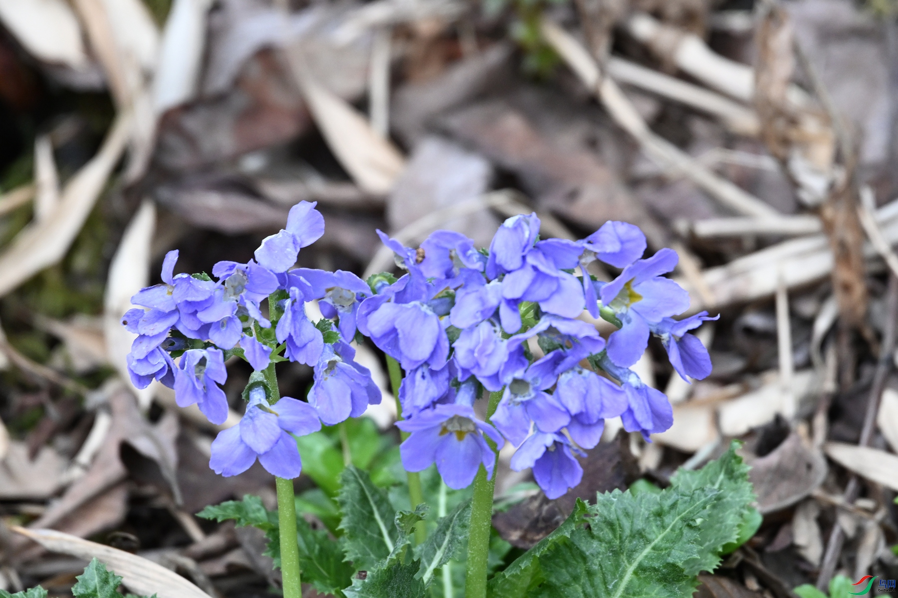 DSC_1764.JPG