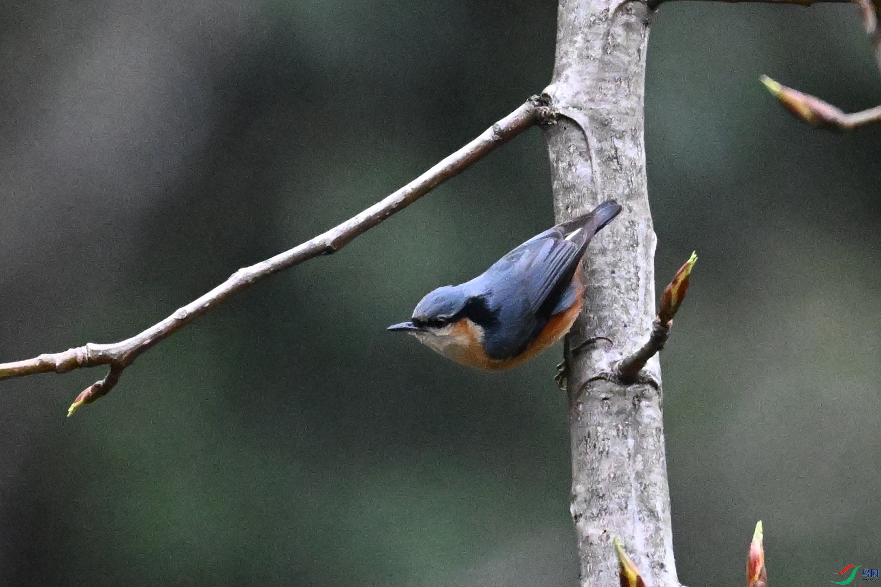 DSC_1844.JPG