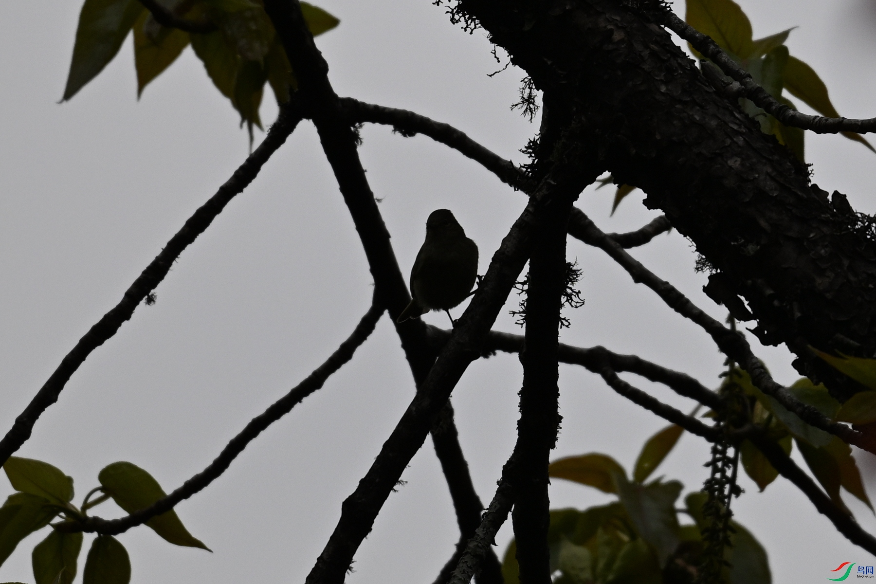DSC_1797.JPG
