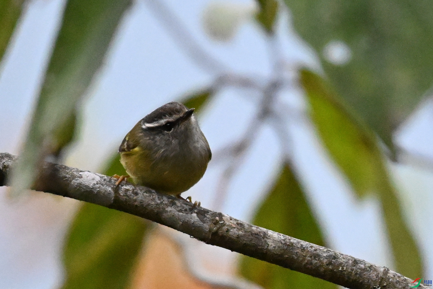 DSC_1818.JPG