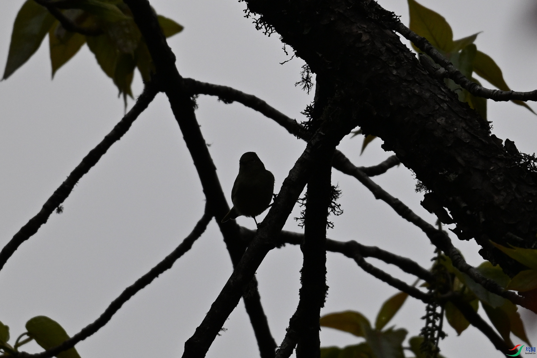 DSC_1798.JPG